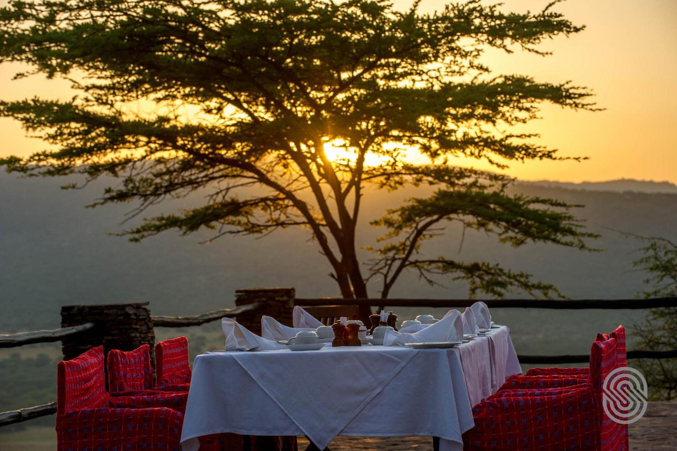 Serengeti National Park Vacations - Serengeti Serena Safari Lodge - Property Image 16