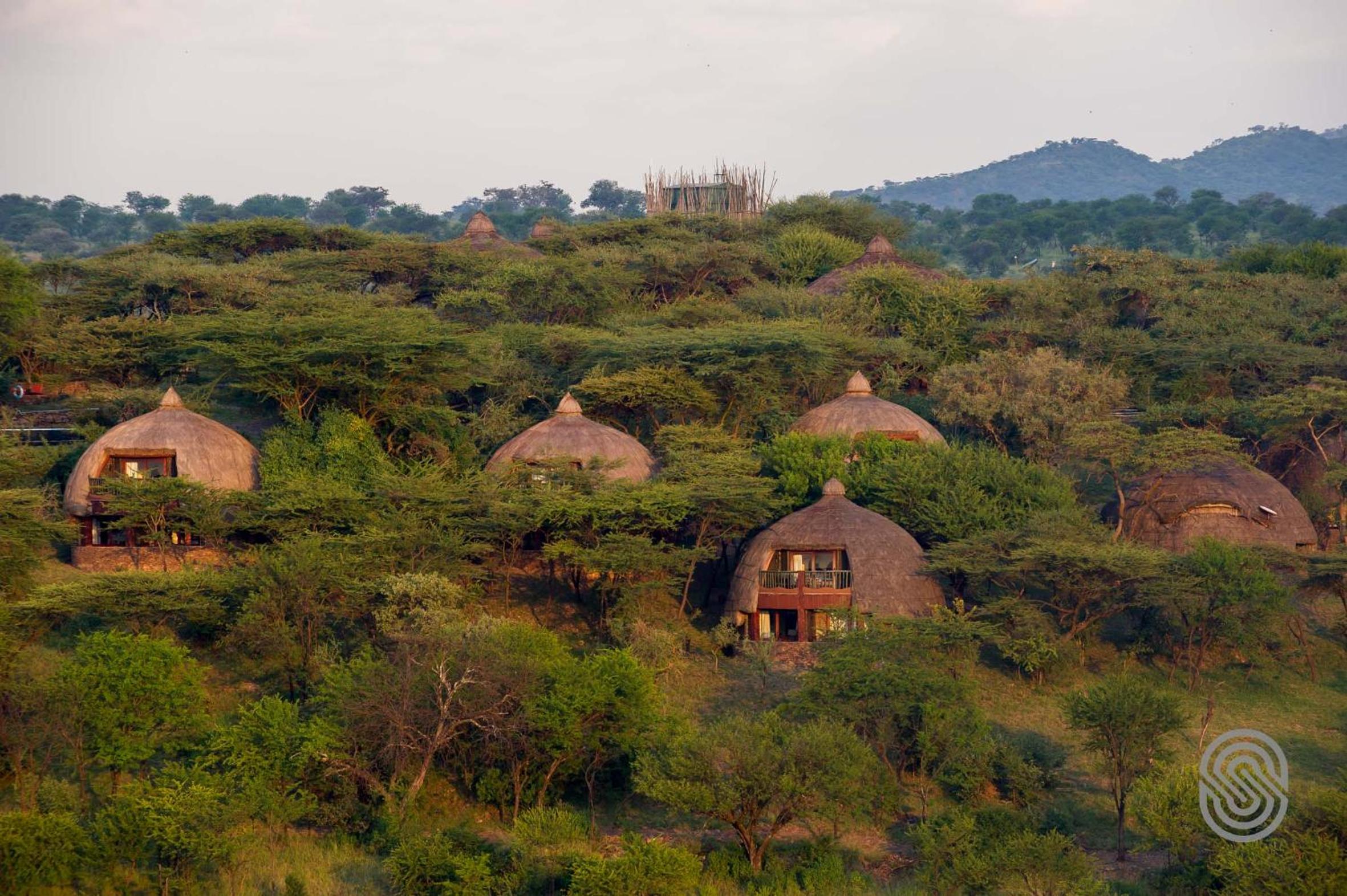 Serengeti National Park Vacations - Serengeti Serena Safari Lodge - Property Image 8
