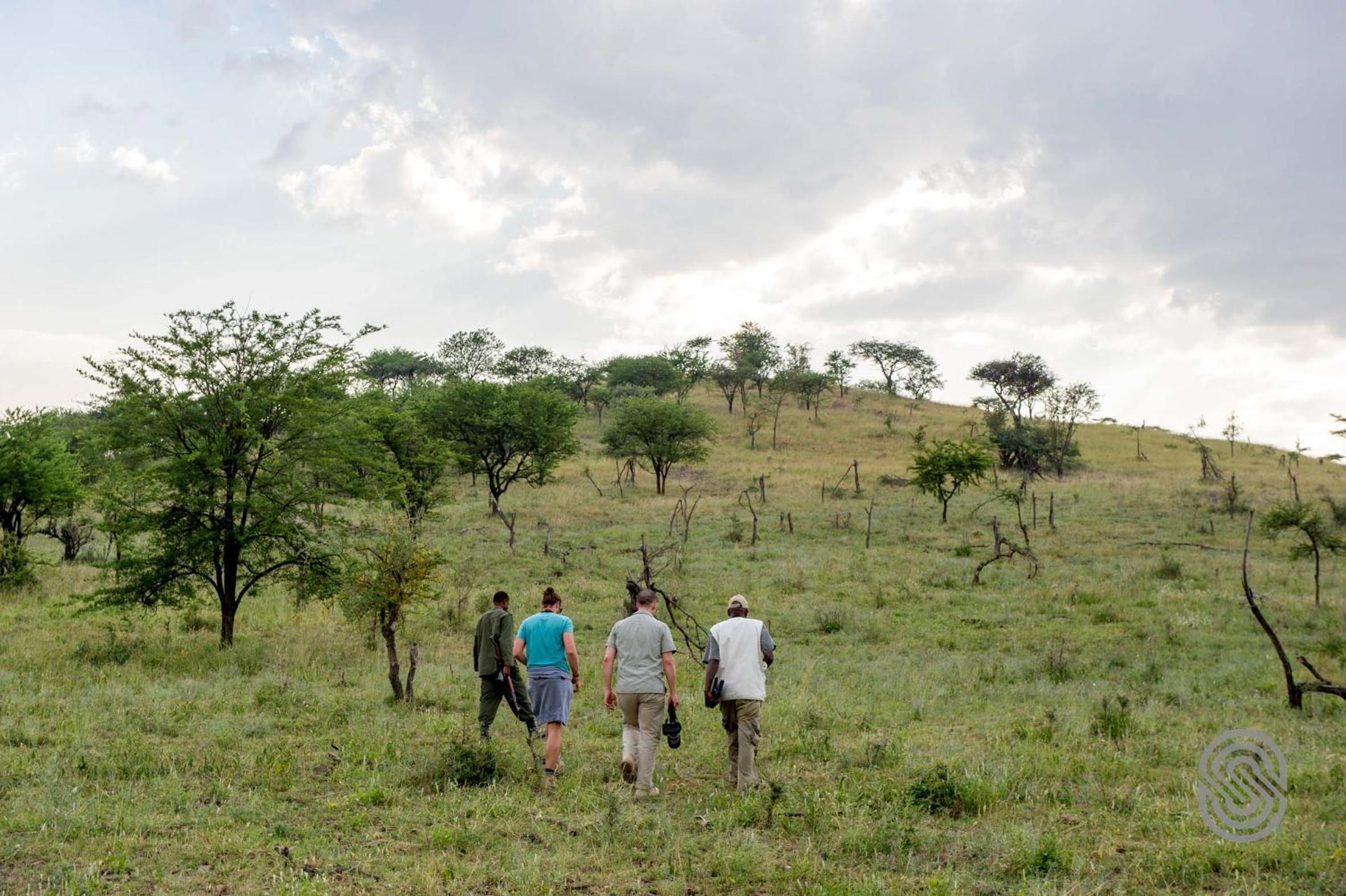 Serengeti National Park Vacations - Serengeti Serena Safari Lodge - Property Image 5