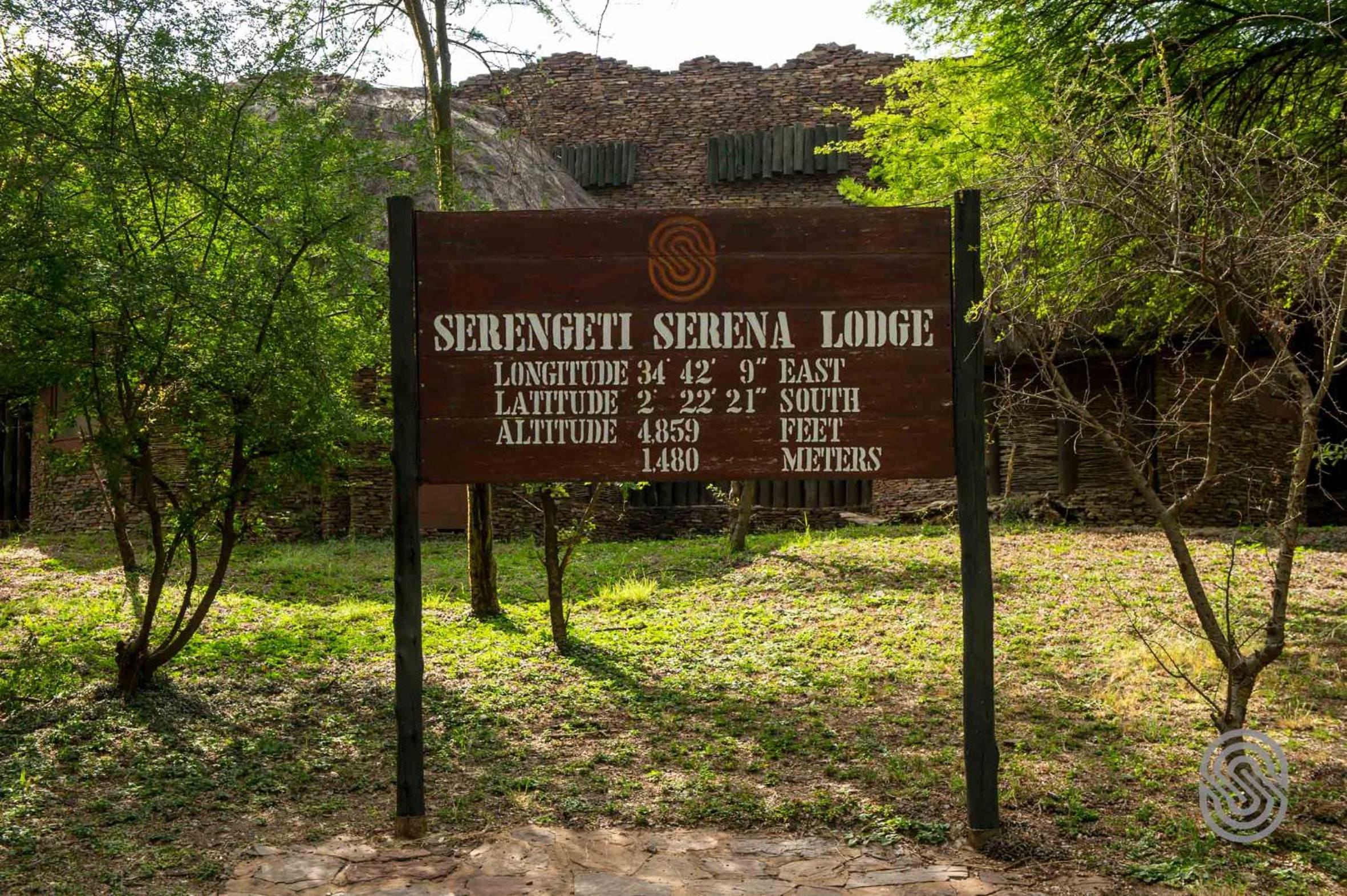 Serengeti National Park Vacations - Serengeti Serena Safari Lodge - Property Image 4