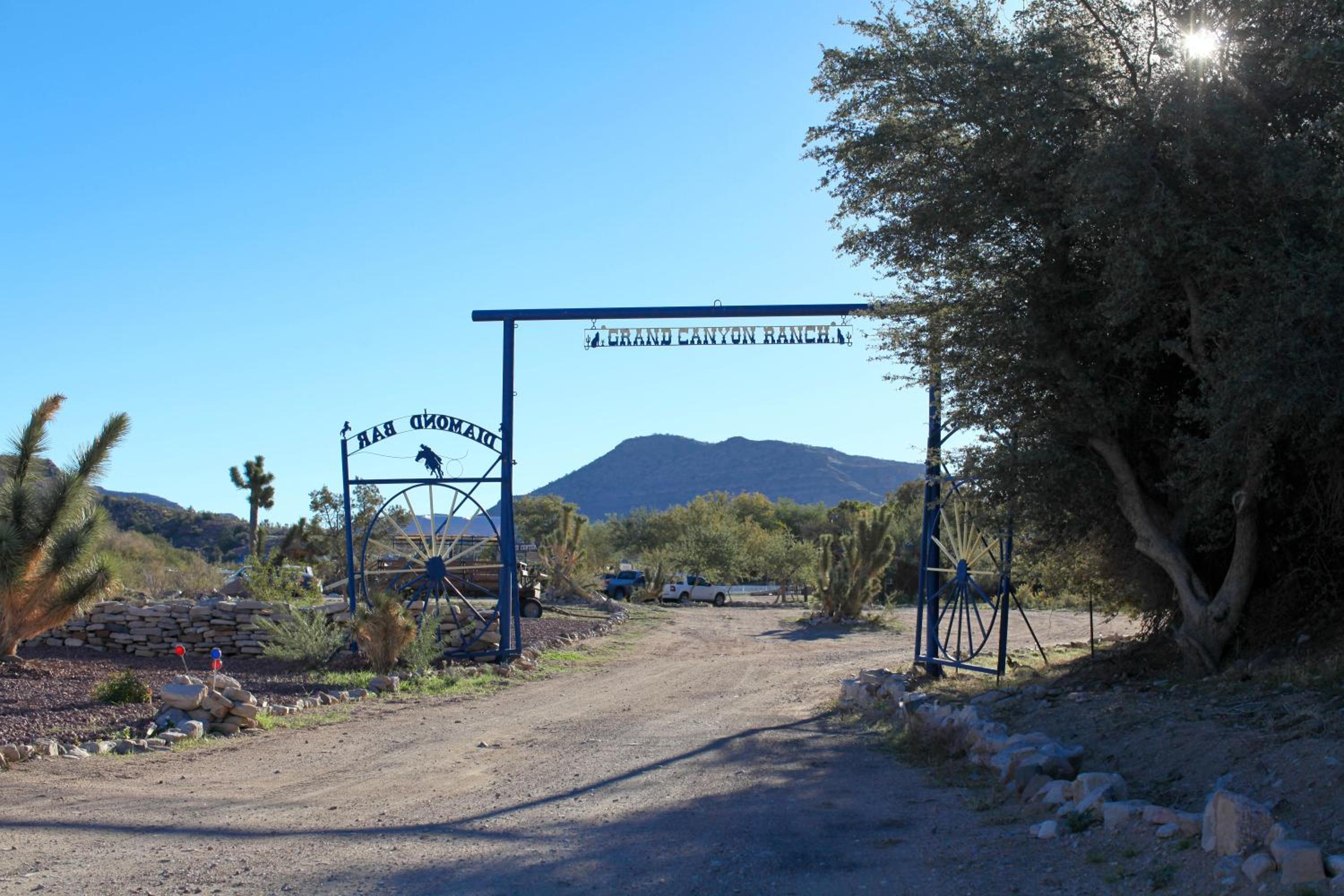 Photo 40