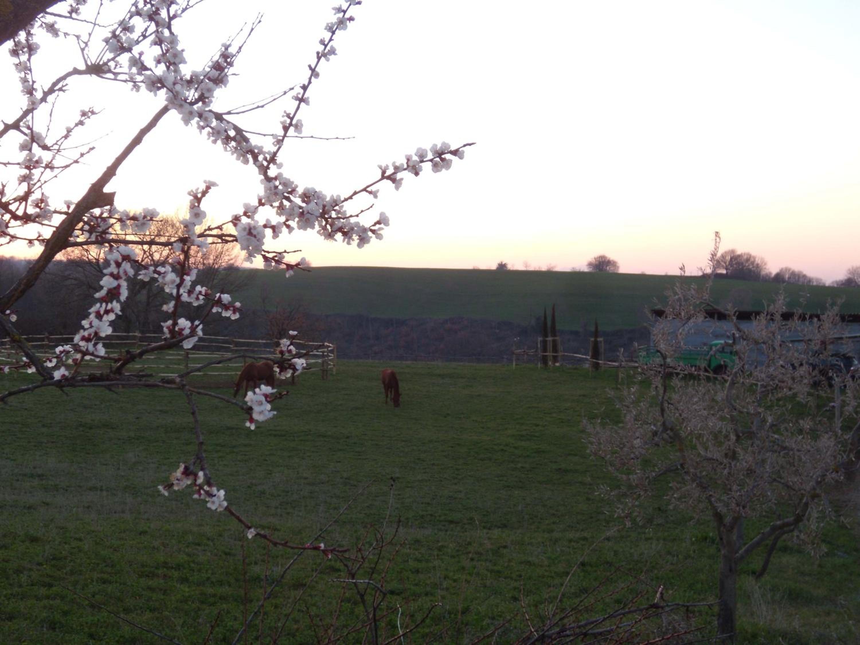 Podere Delle Rose