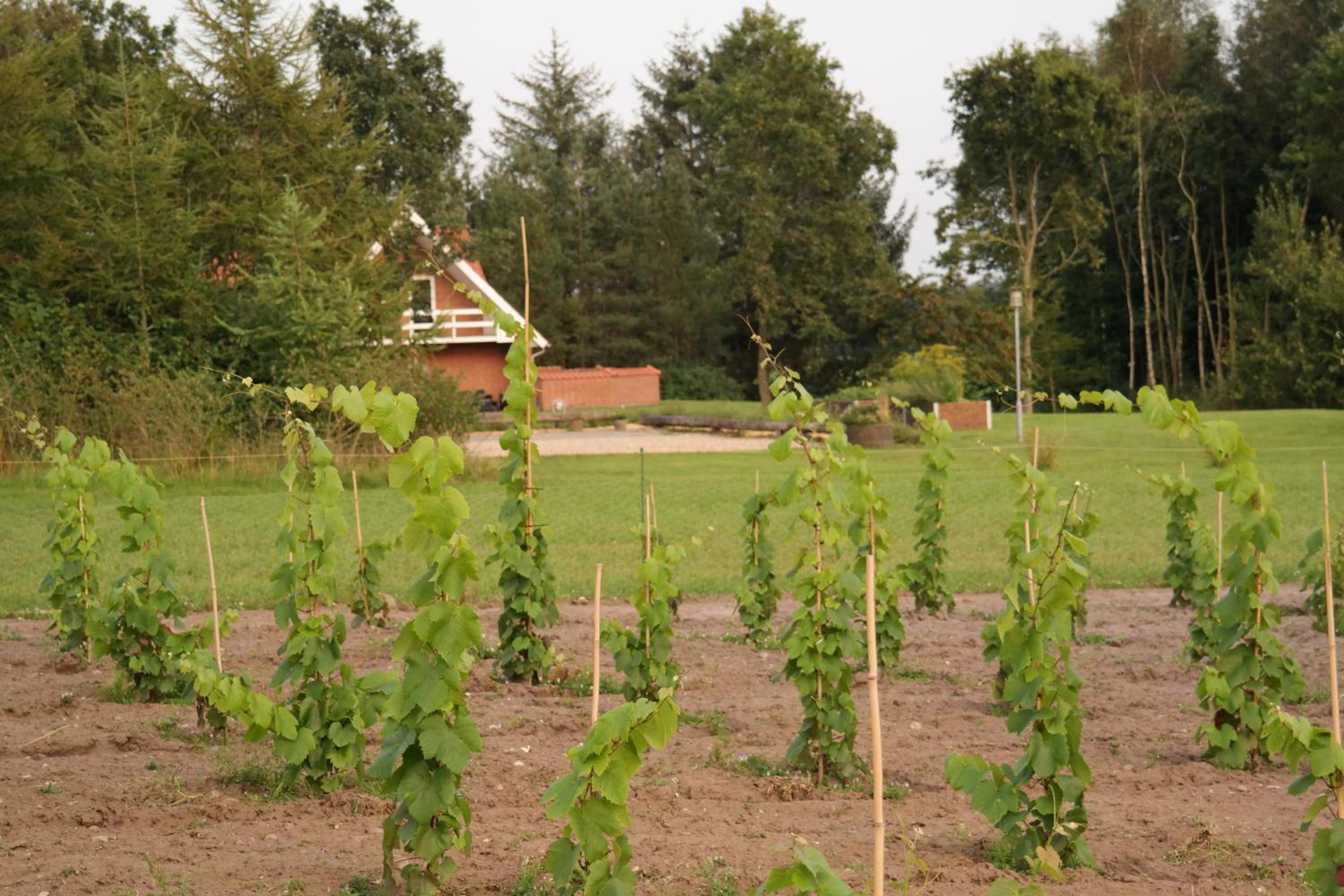 Egebjerggaard Bed & Breakfast