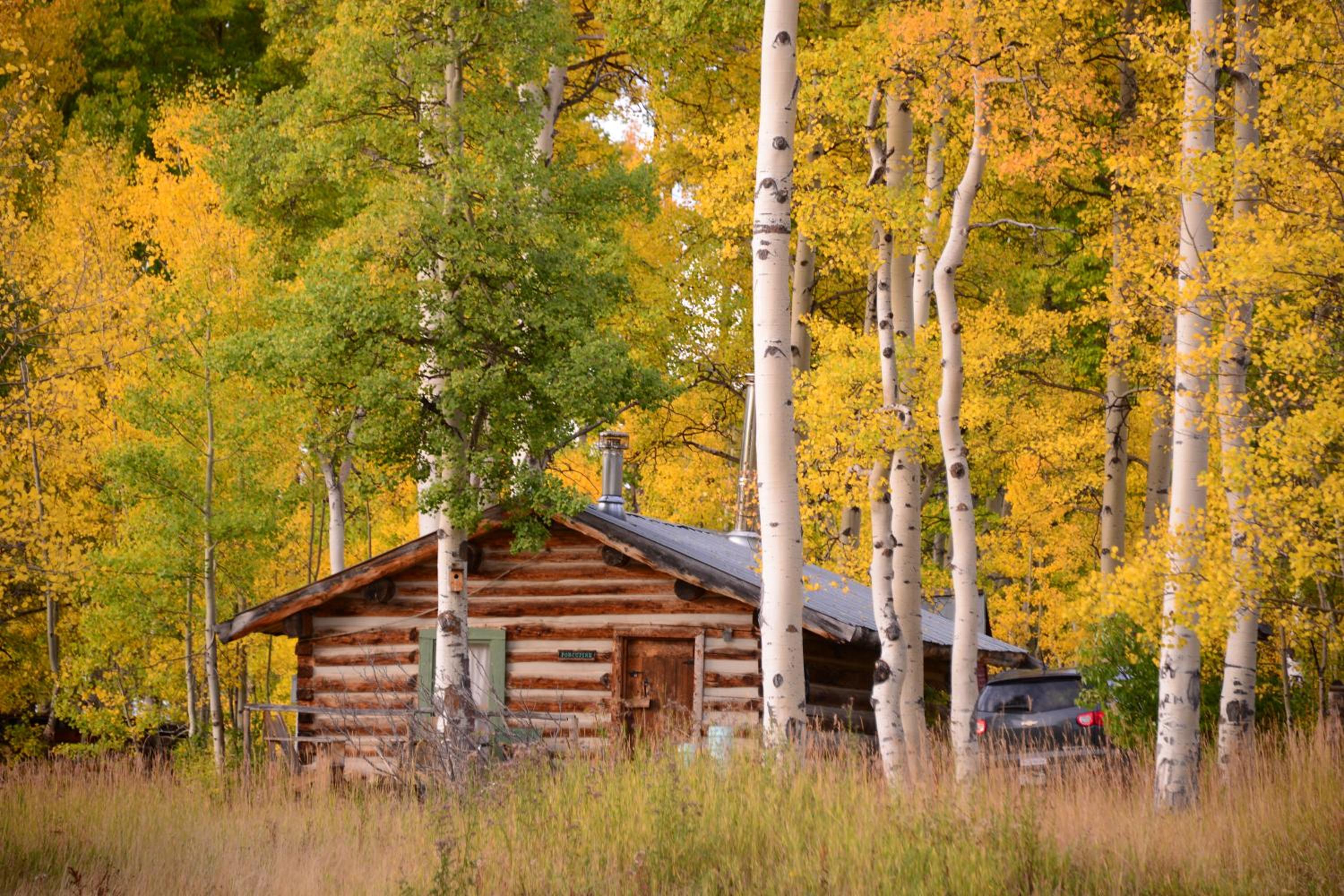 The Cabins at Historic Columbine