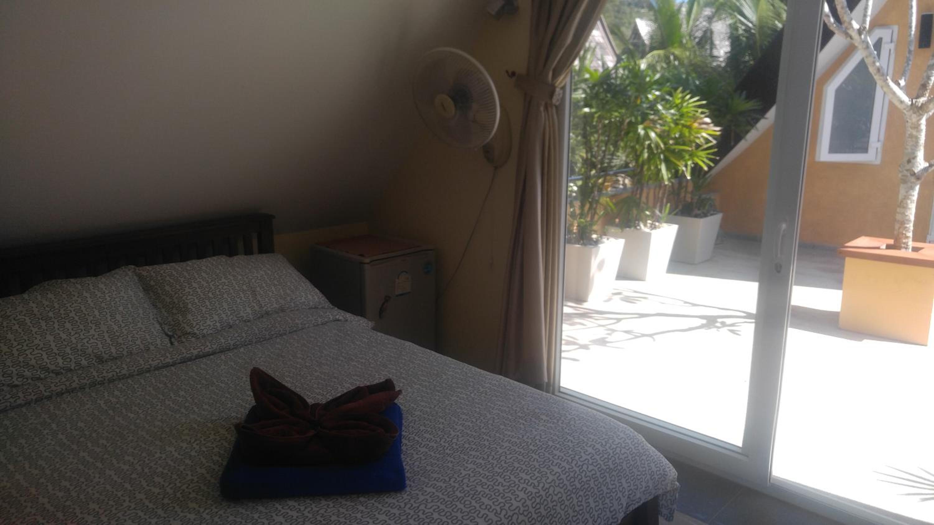 Photo 41