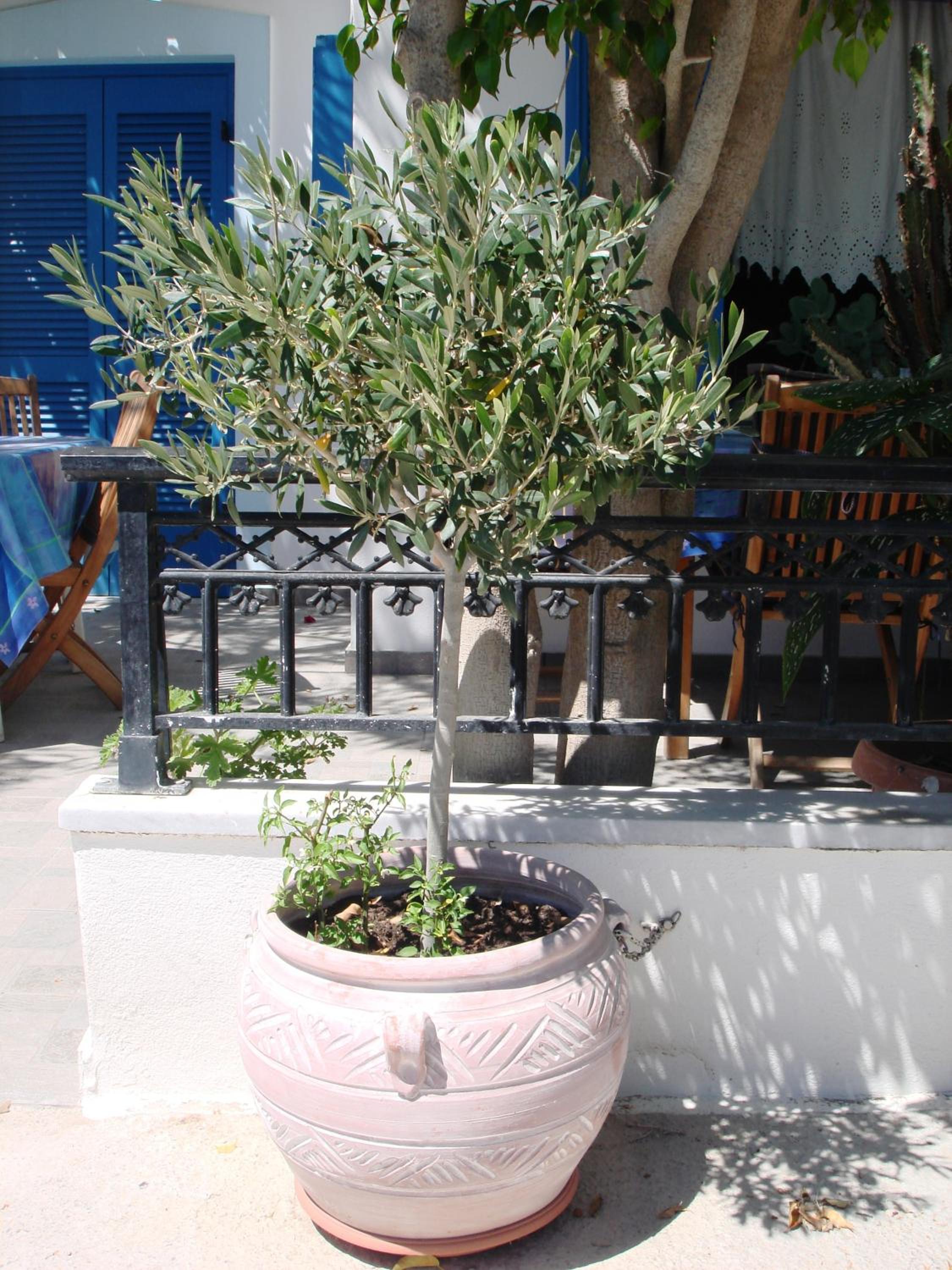 Photo 25