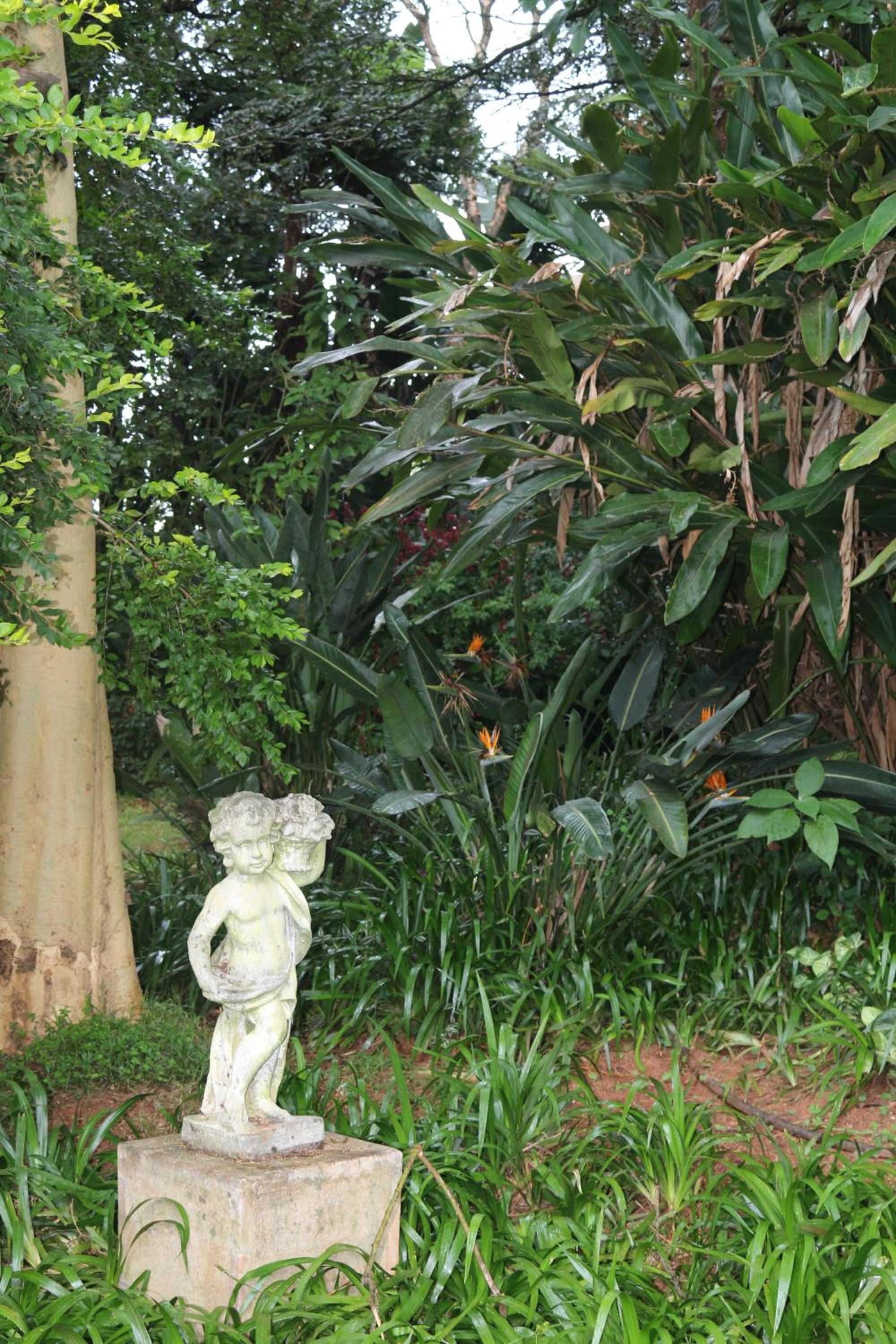 Softwaters Guesthouse Cottages view 3