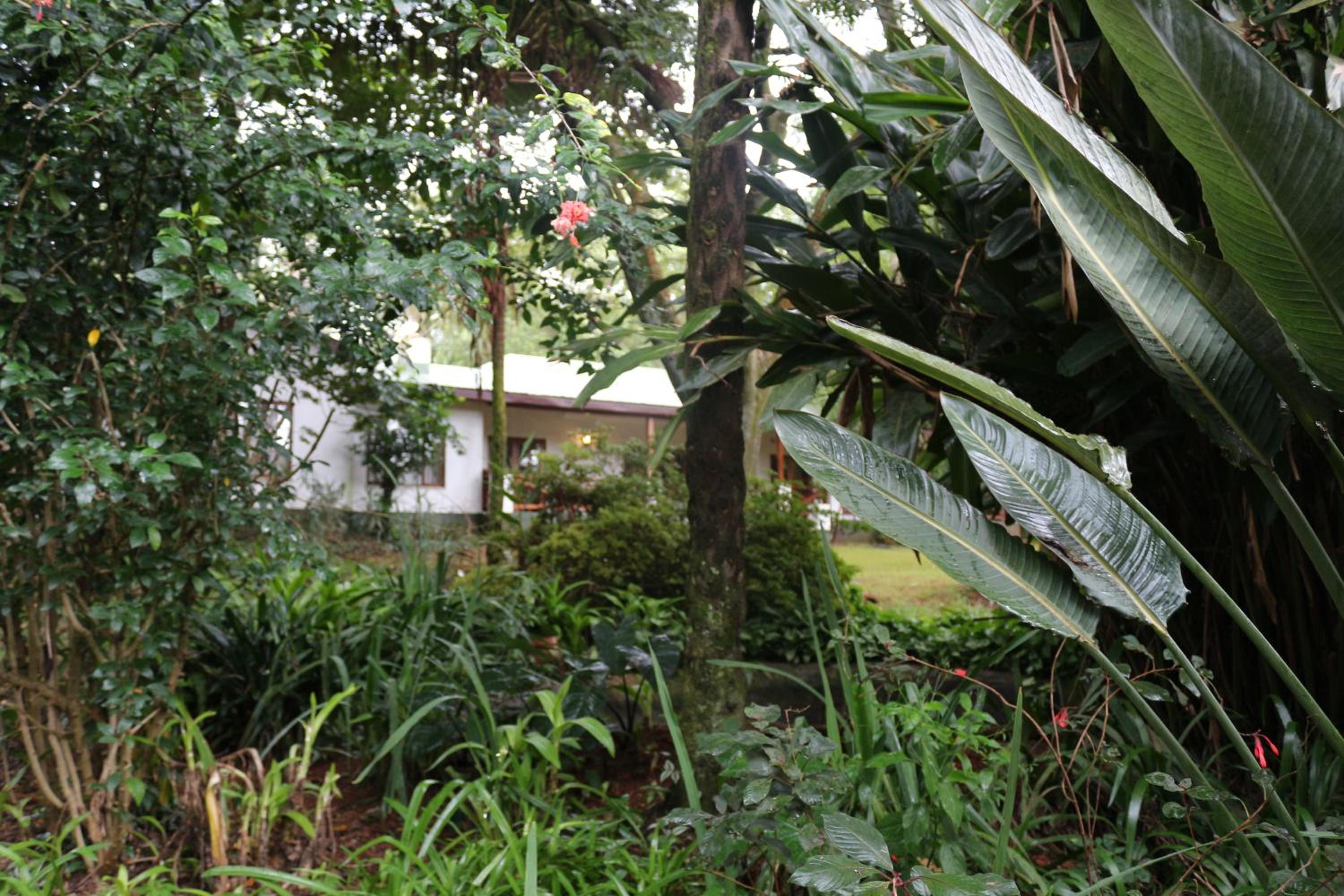 Softwaters Guesthouse Cottages view 4