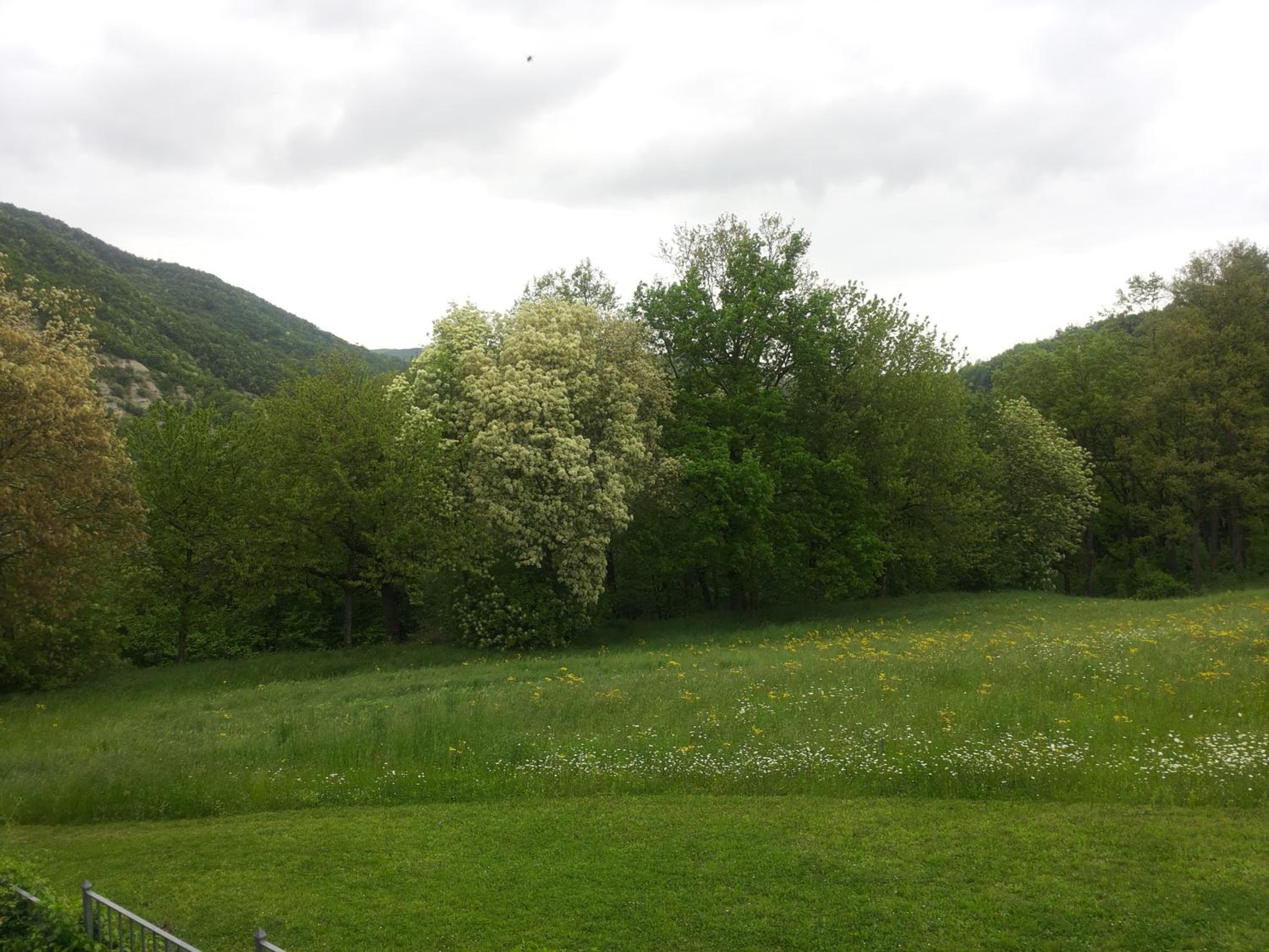 Photo 22