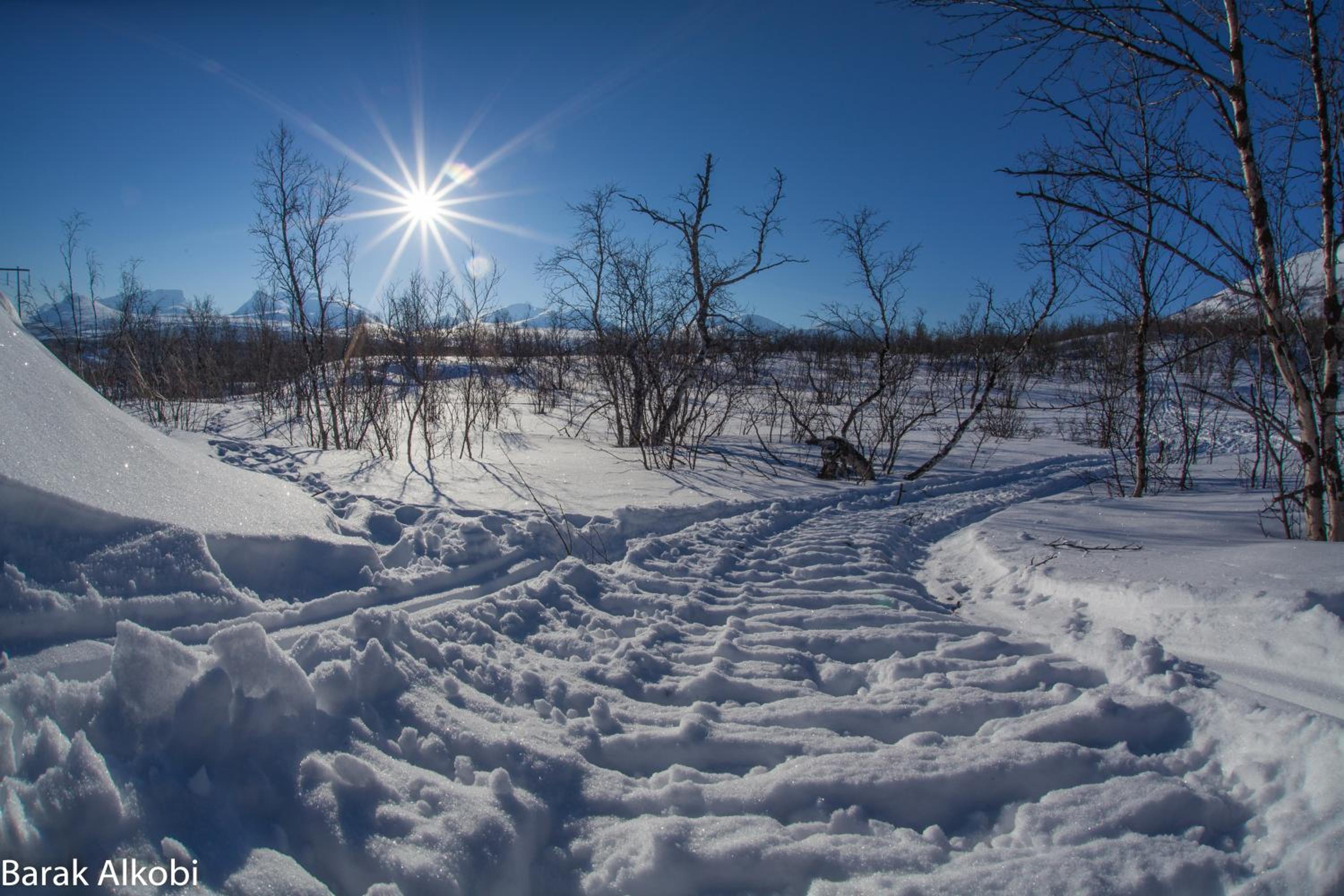 Abisko Guesthouse & Activities