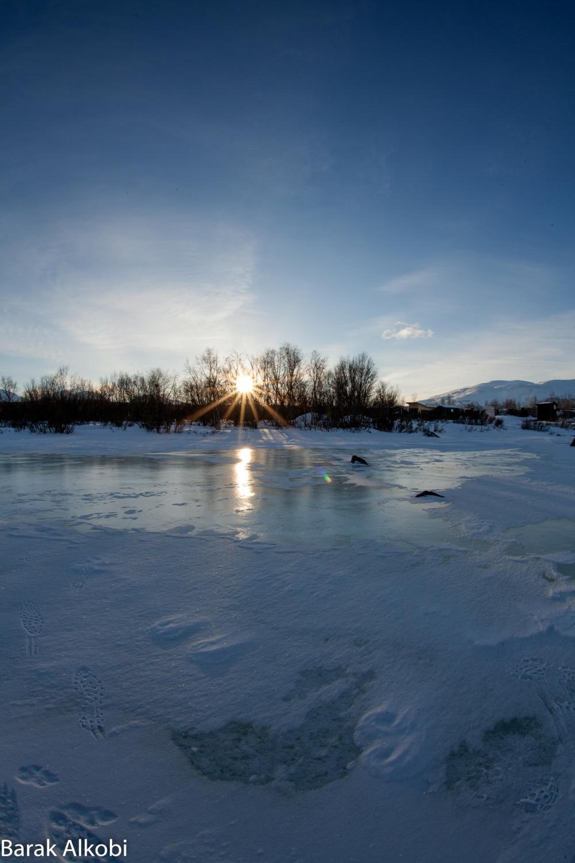 Abisko Guesthouse & Activities