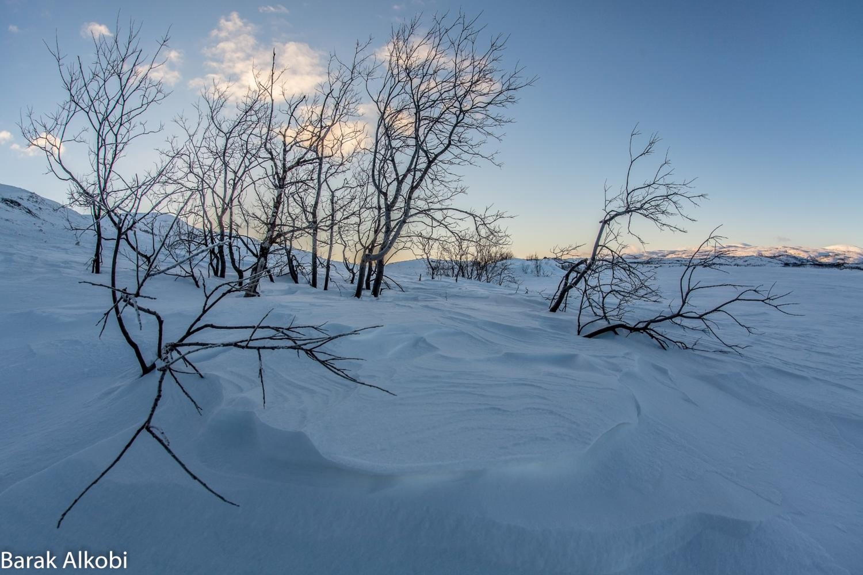 Abisko Guesthouse & Activities
