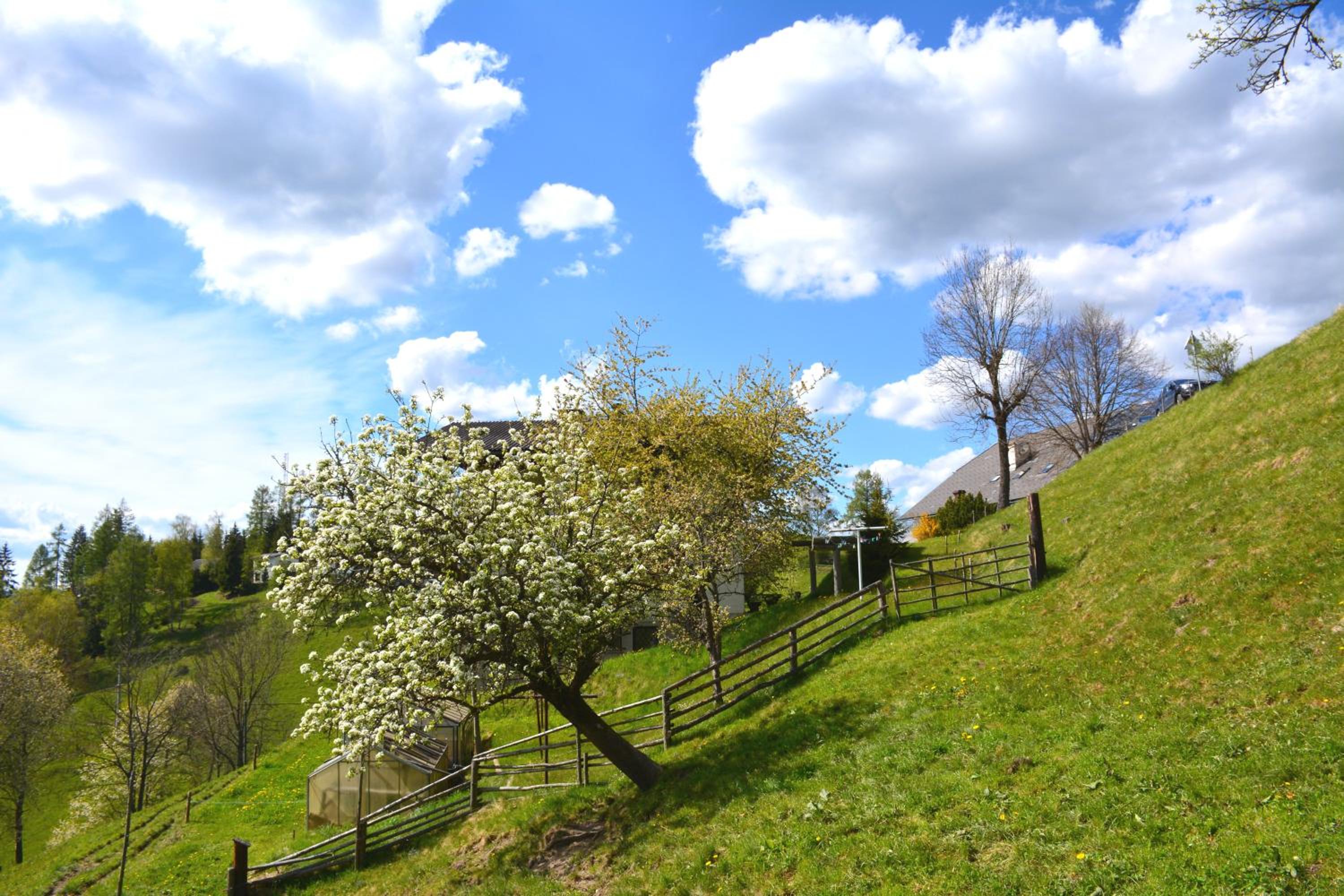 Frühstückspension Ochnerbauer view 5
