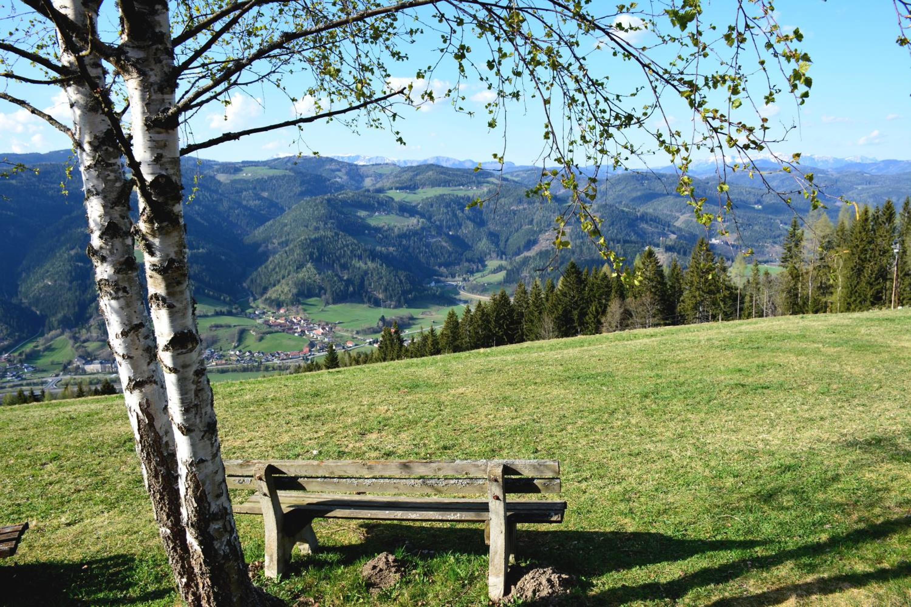 Frühstückspension Ochnerbauer view 4