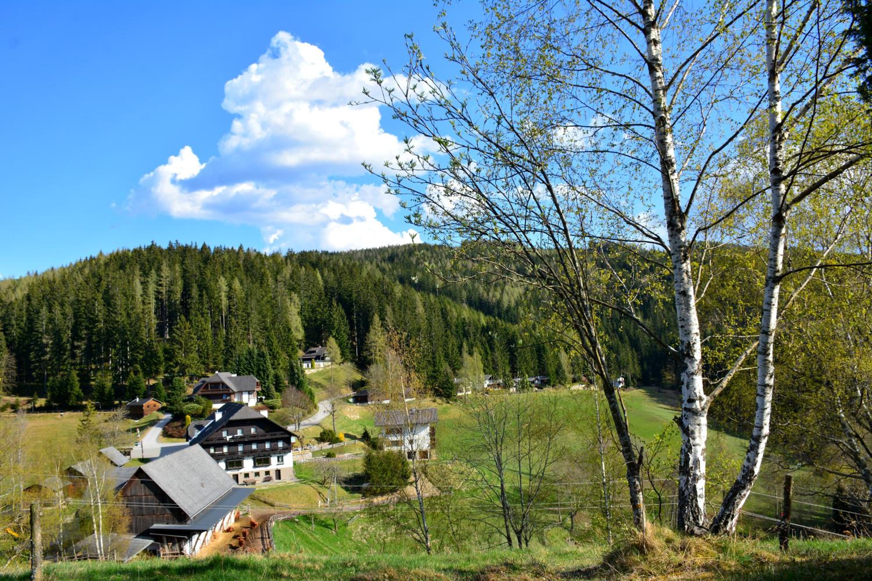 Frühstückspension Ochnerbauer view 3