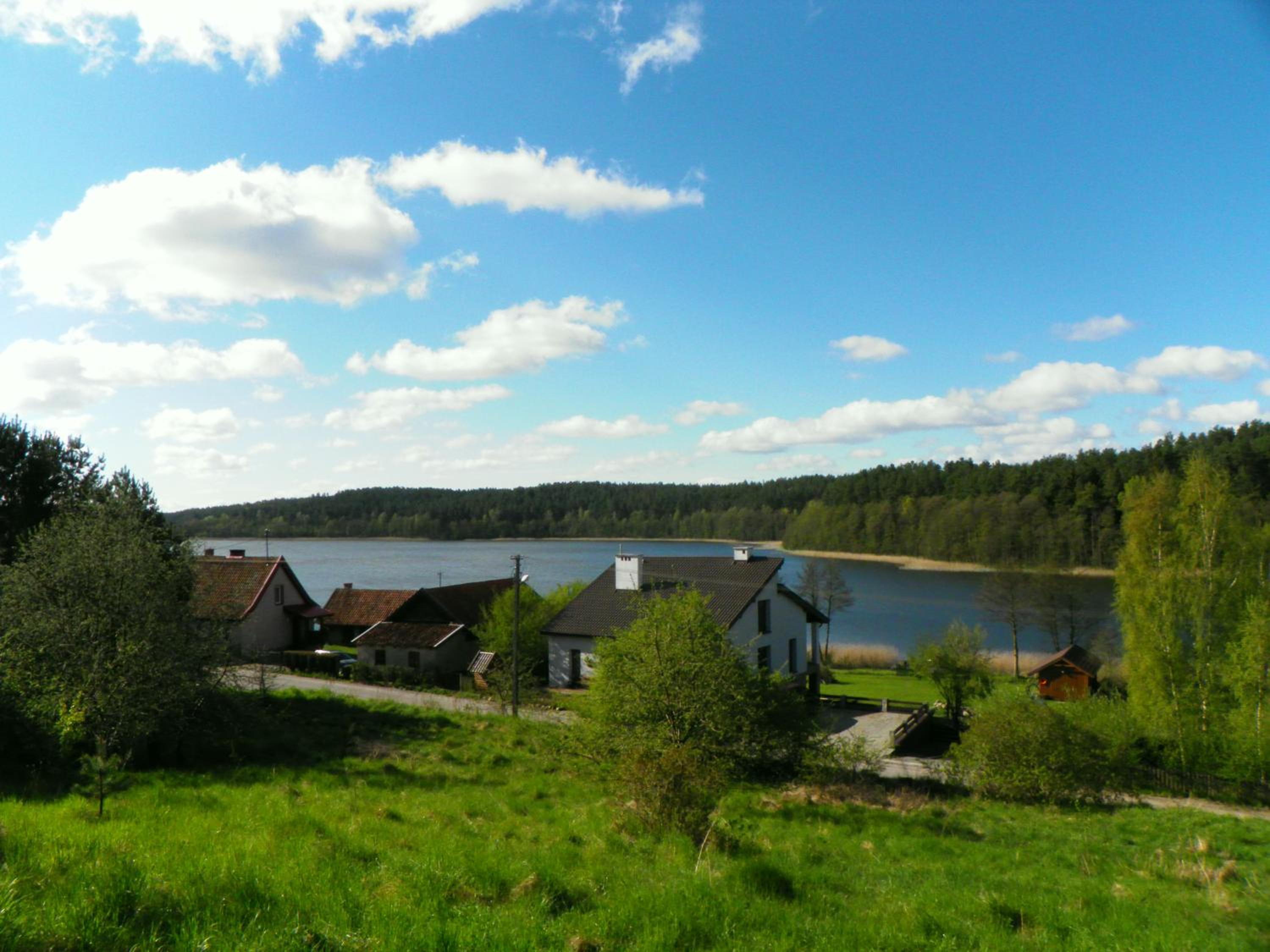 Photo 50