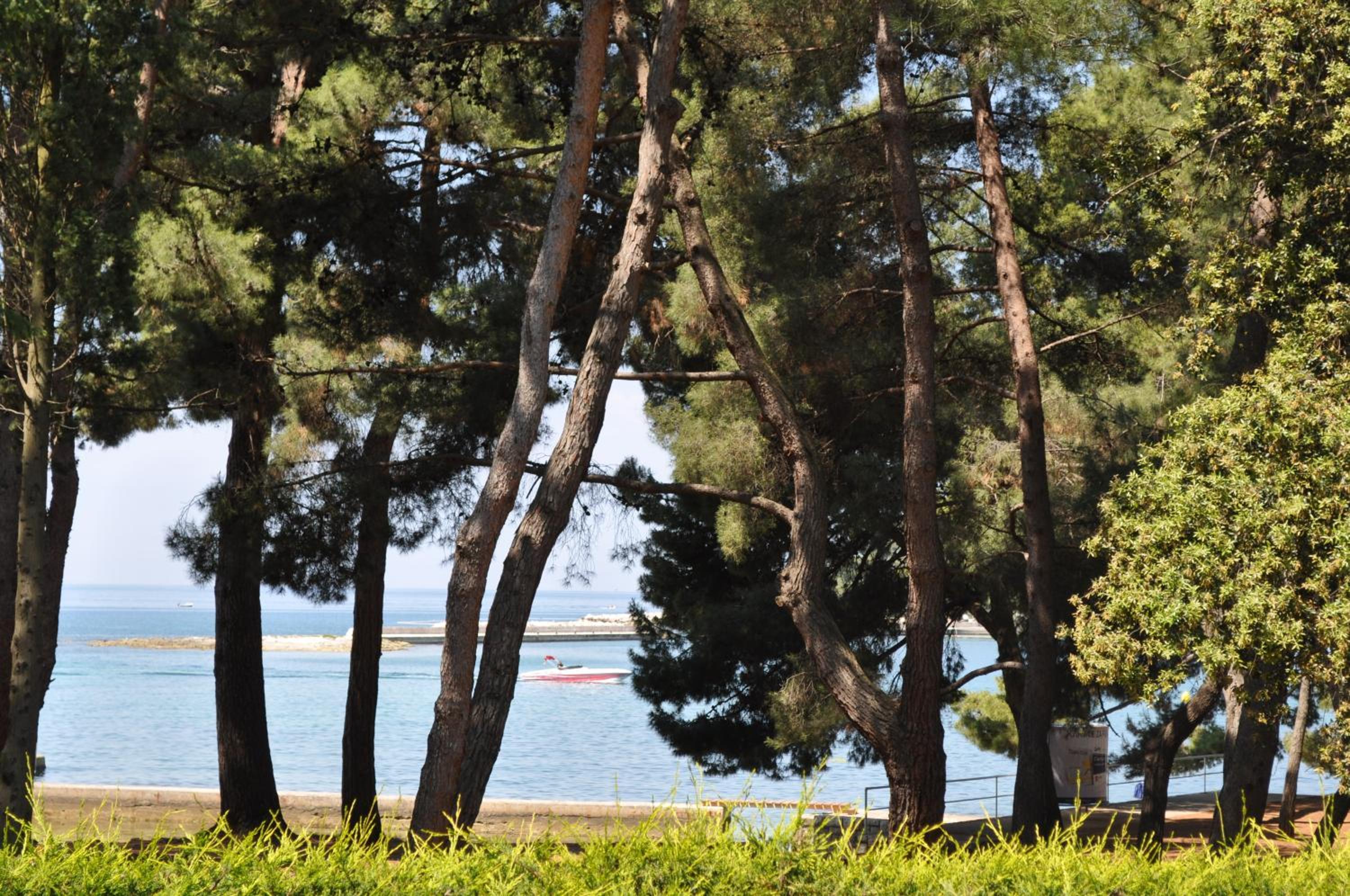 Hotel Flores - Property Image 15