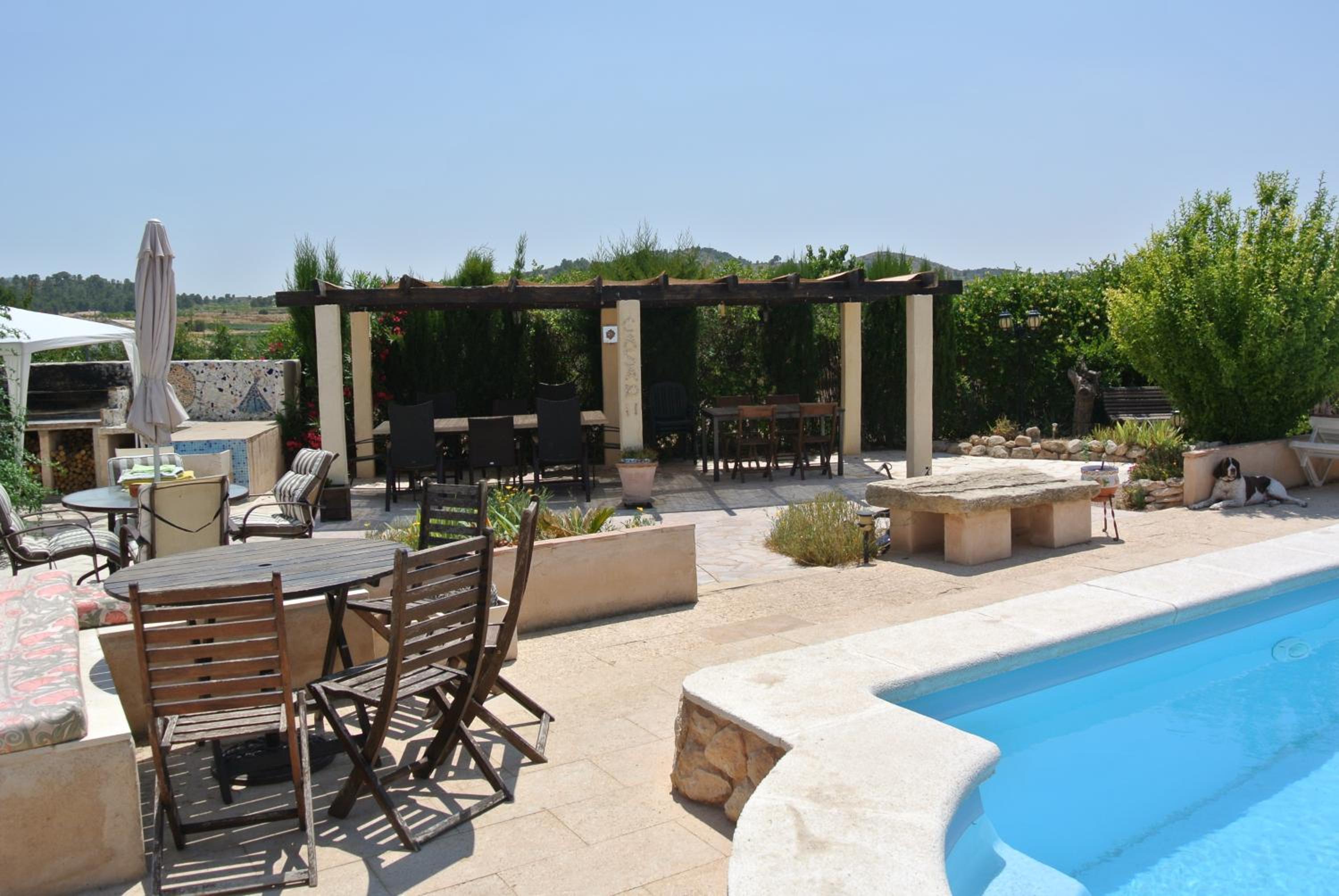 Photo 12
