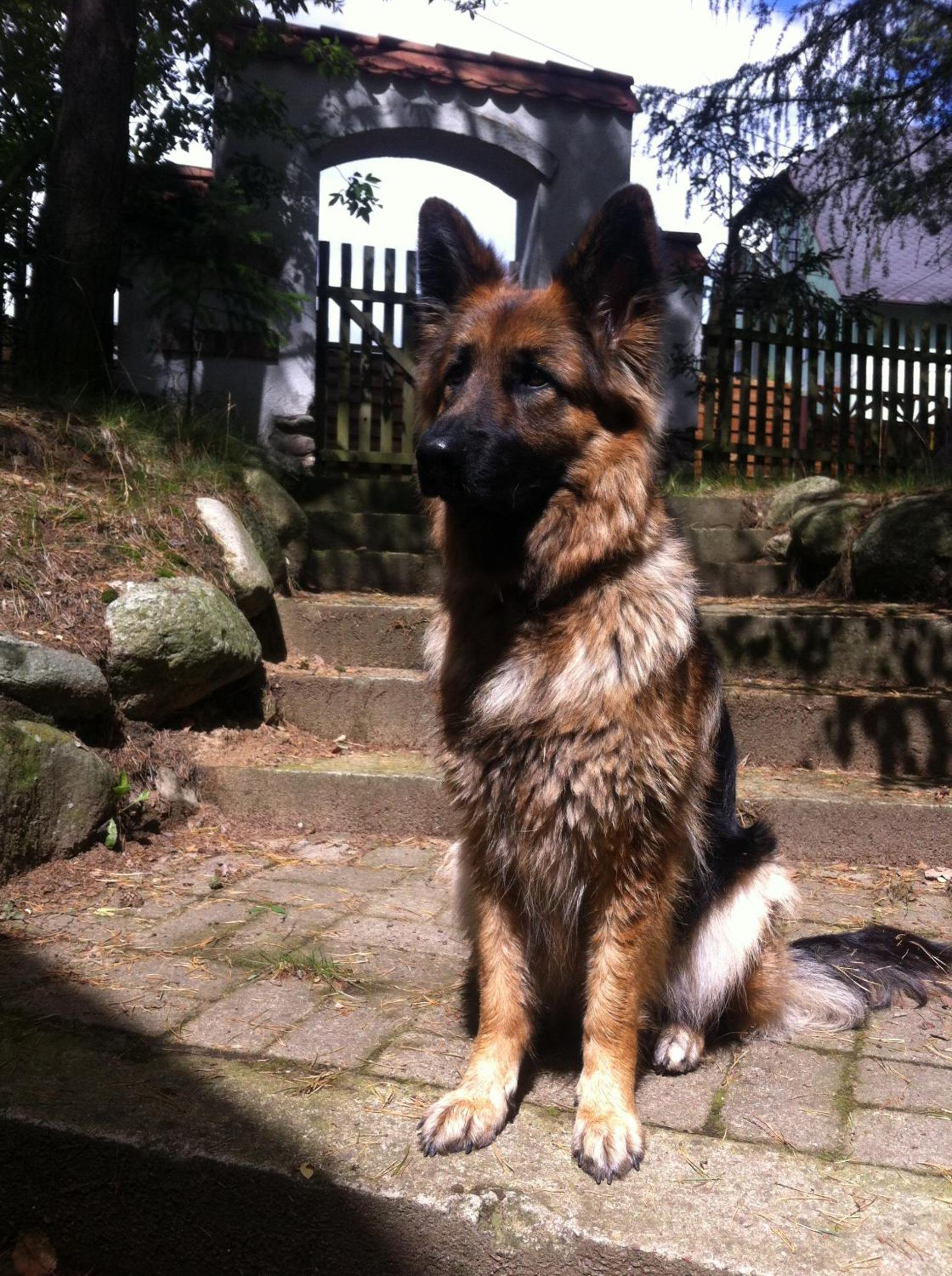 Photo 37