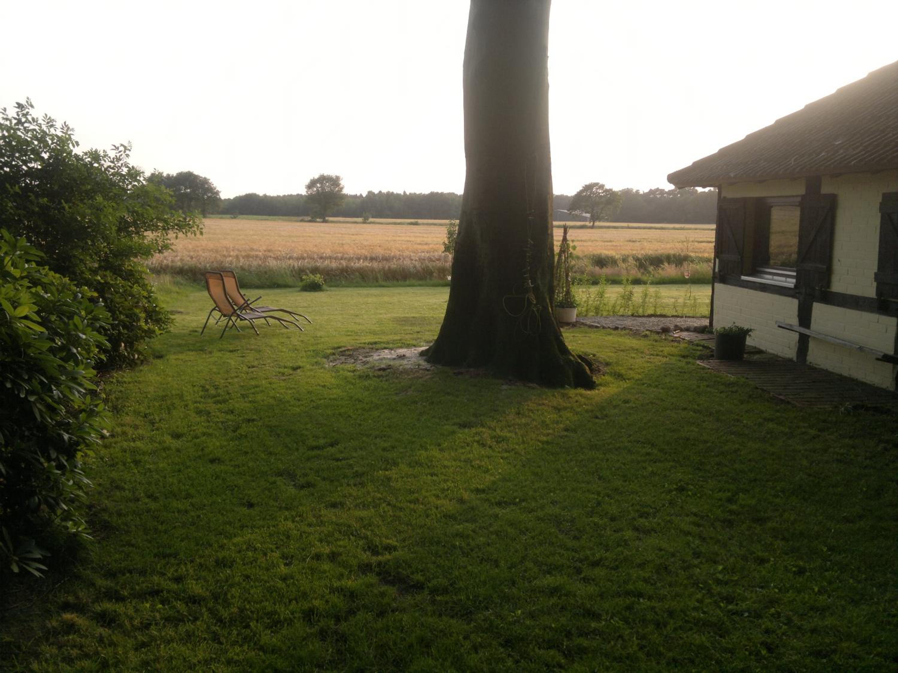 Photo 30