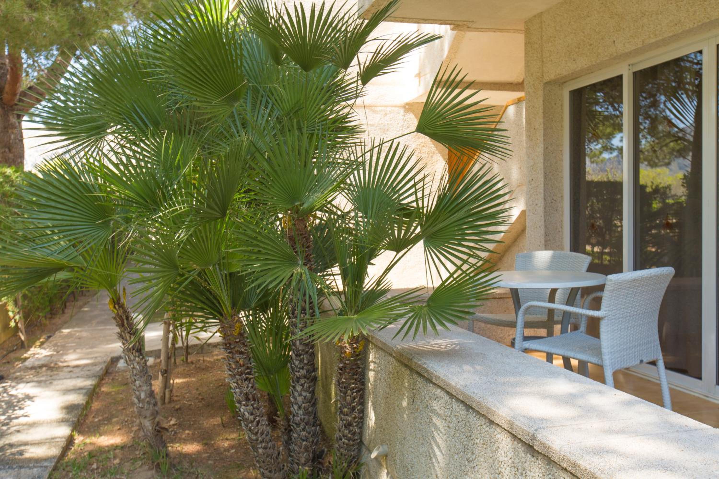 Apartamentos Massol view 3