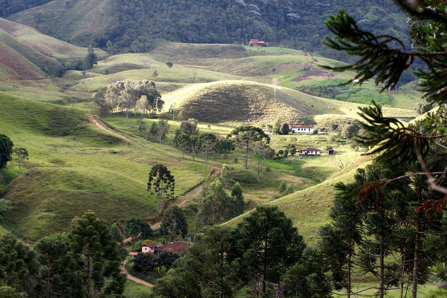 Quinta da Prata