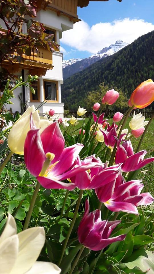 Landhaus Alpensonne view 3