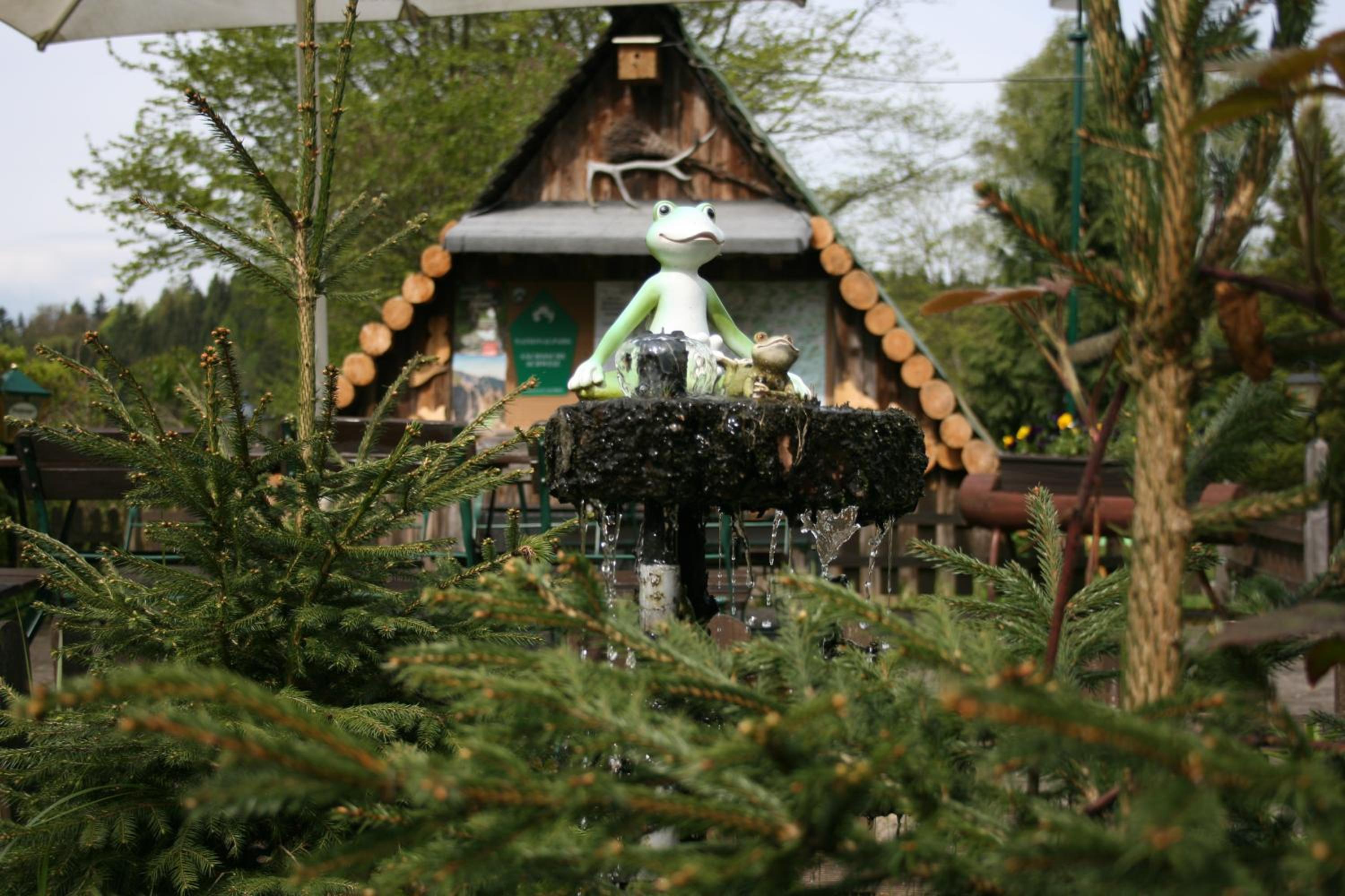 Photo 41