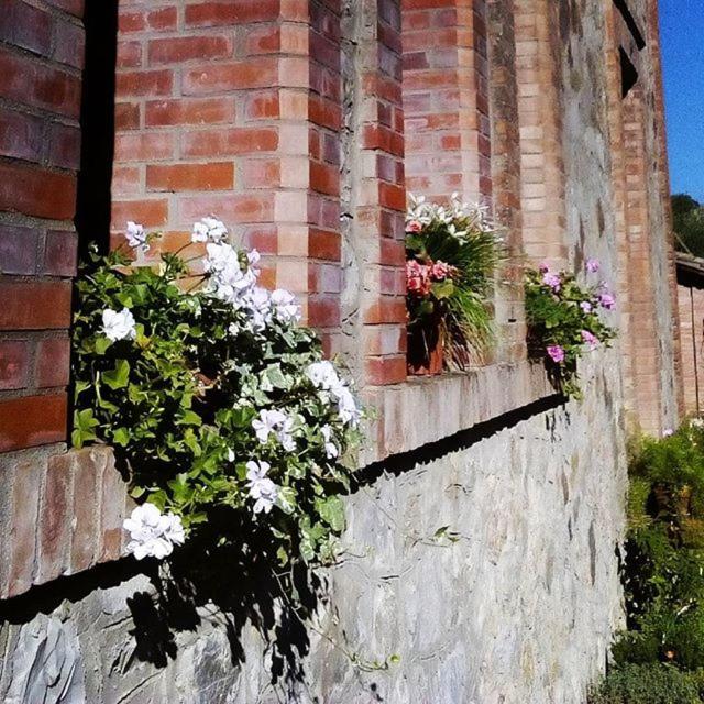Agriturismo Riparossa