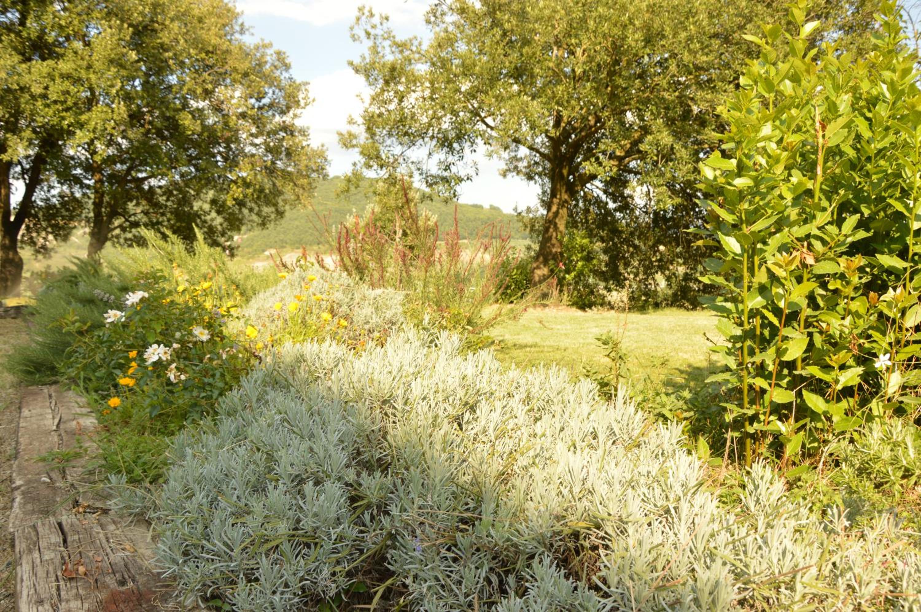 Agriturismo Riparossa