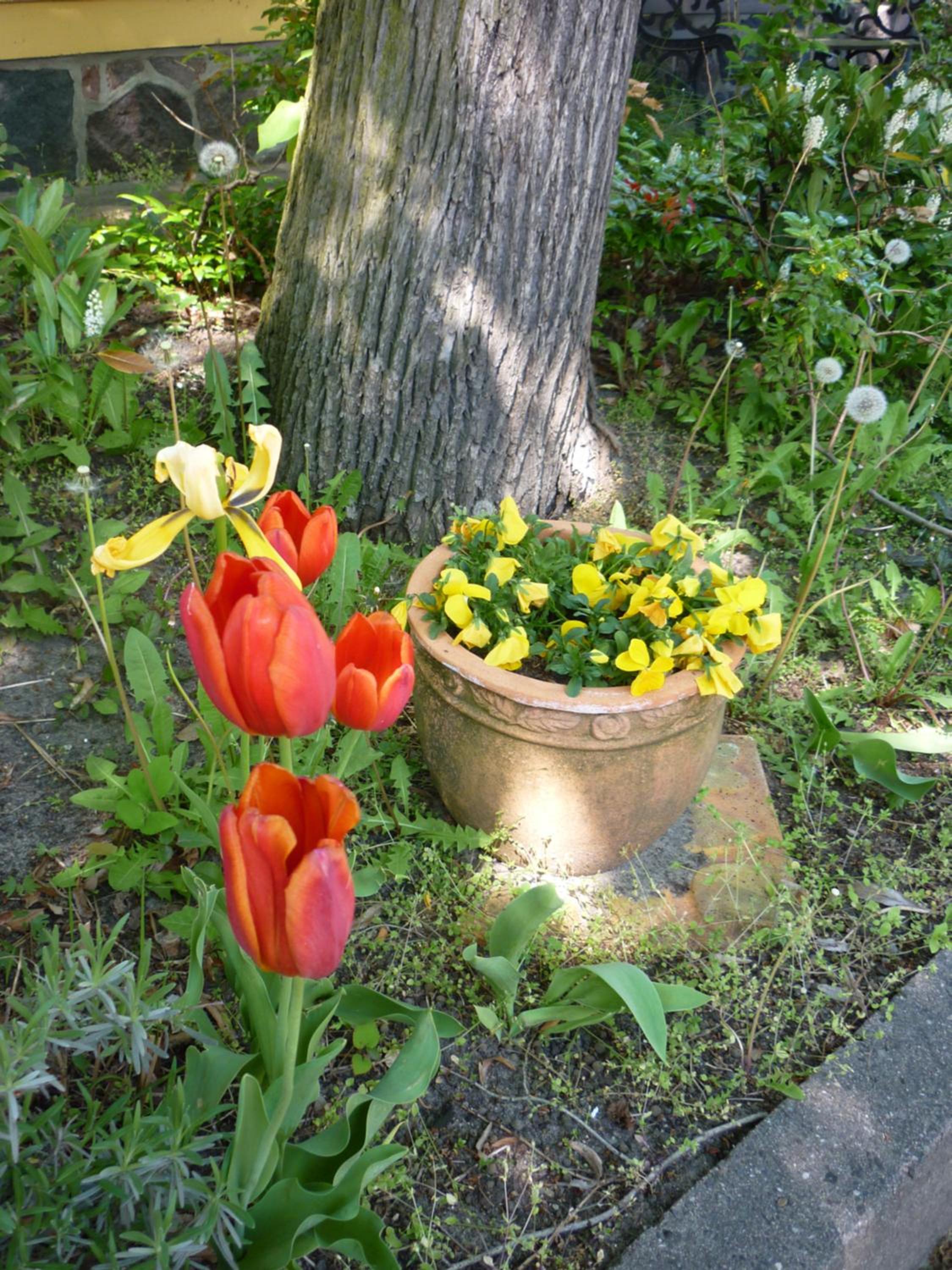 Photo 21