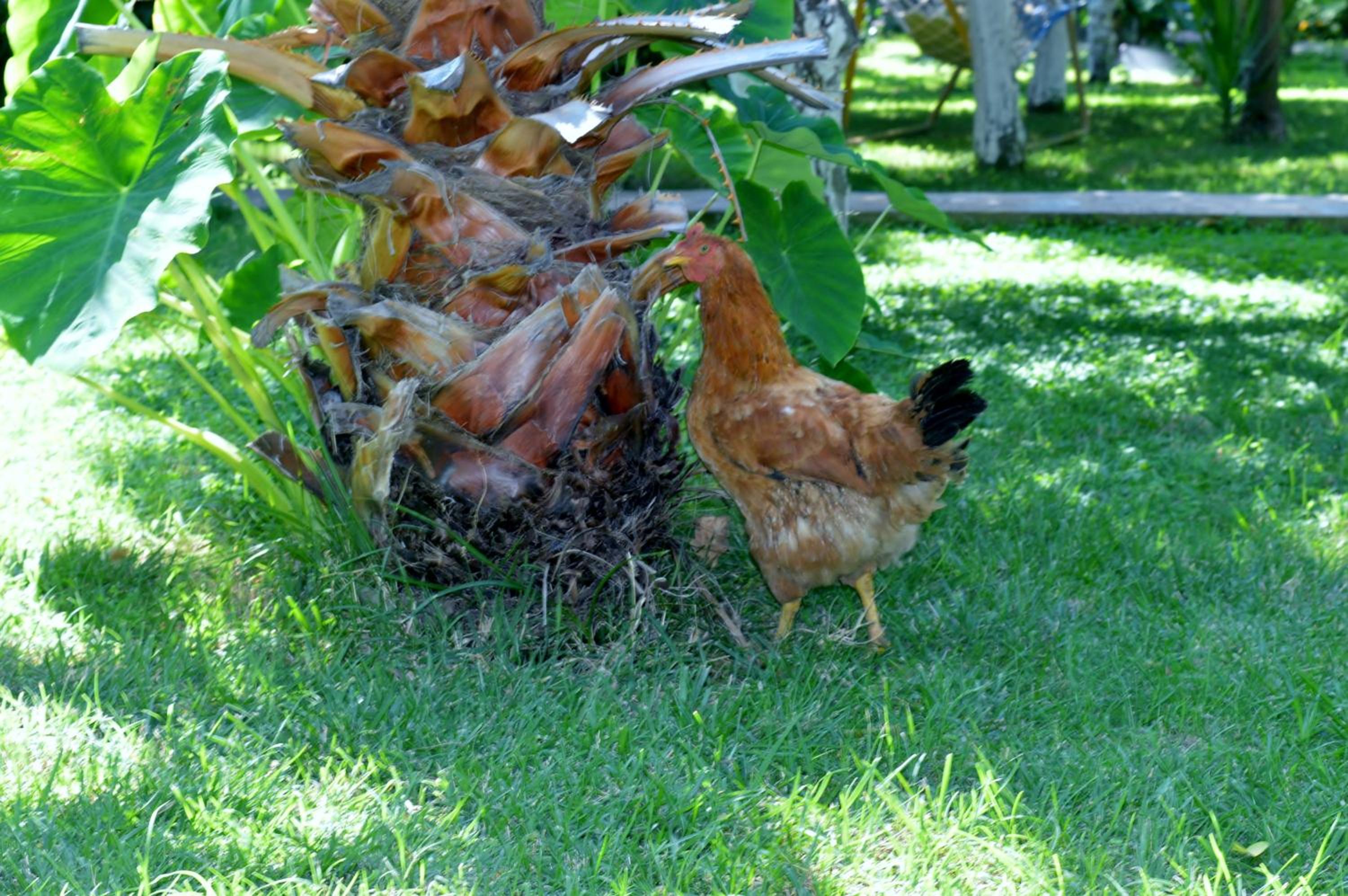 Photo 40