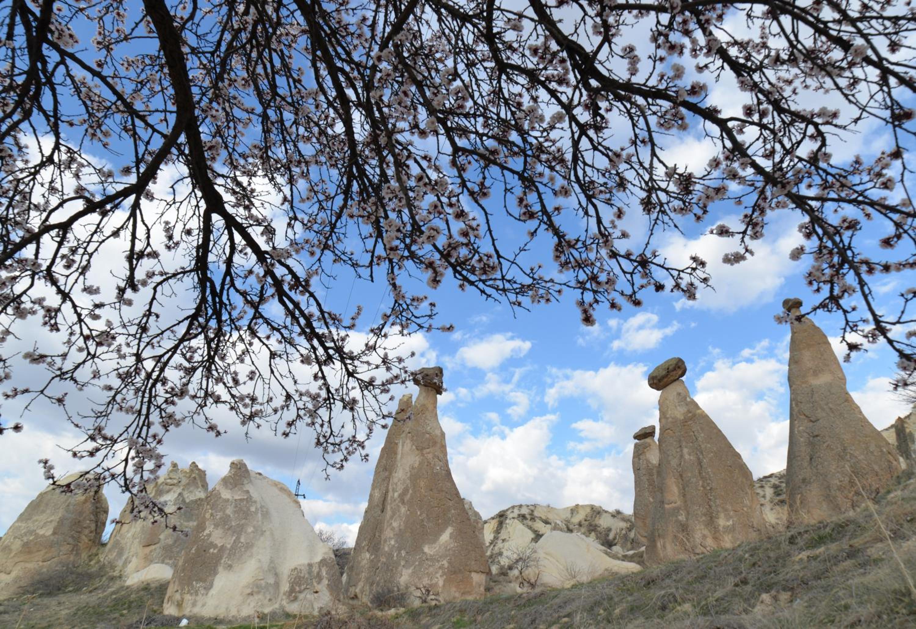 Grand Cave Suites - Image 15