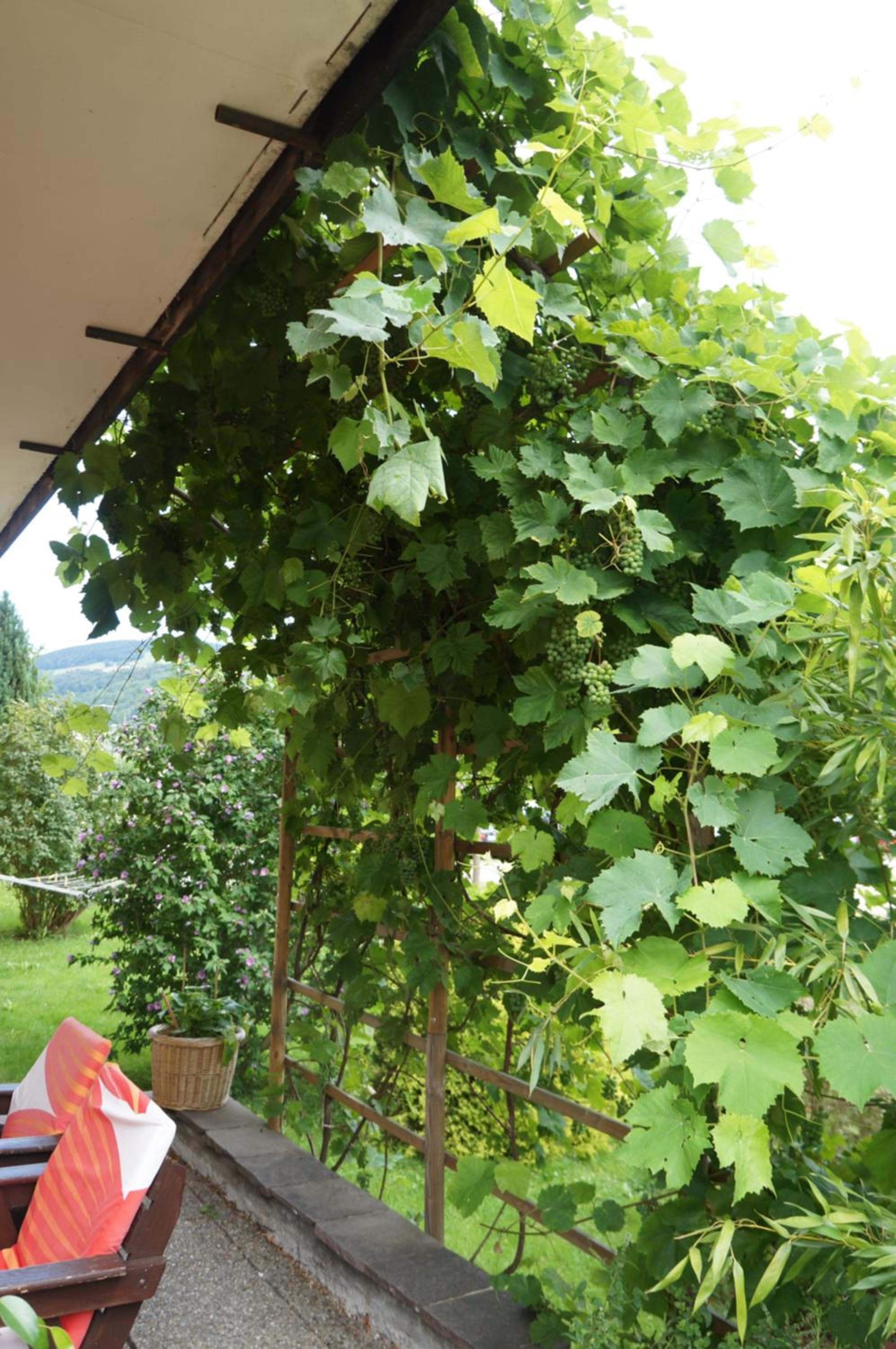 Pension Klimesch