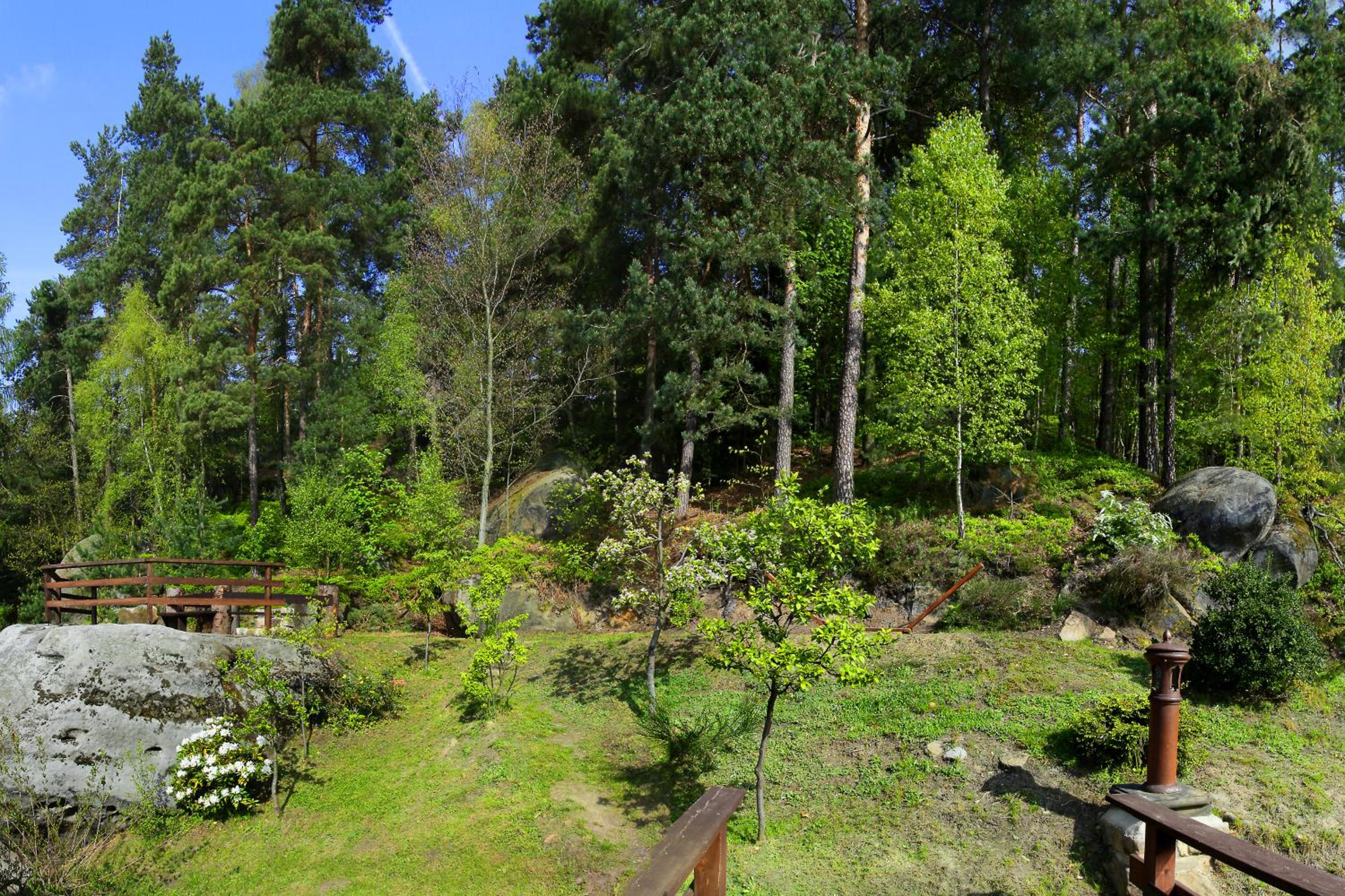 Photo 48