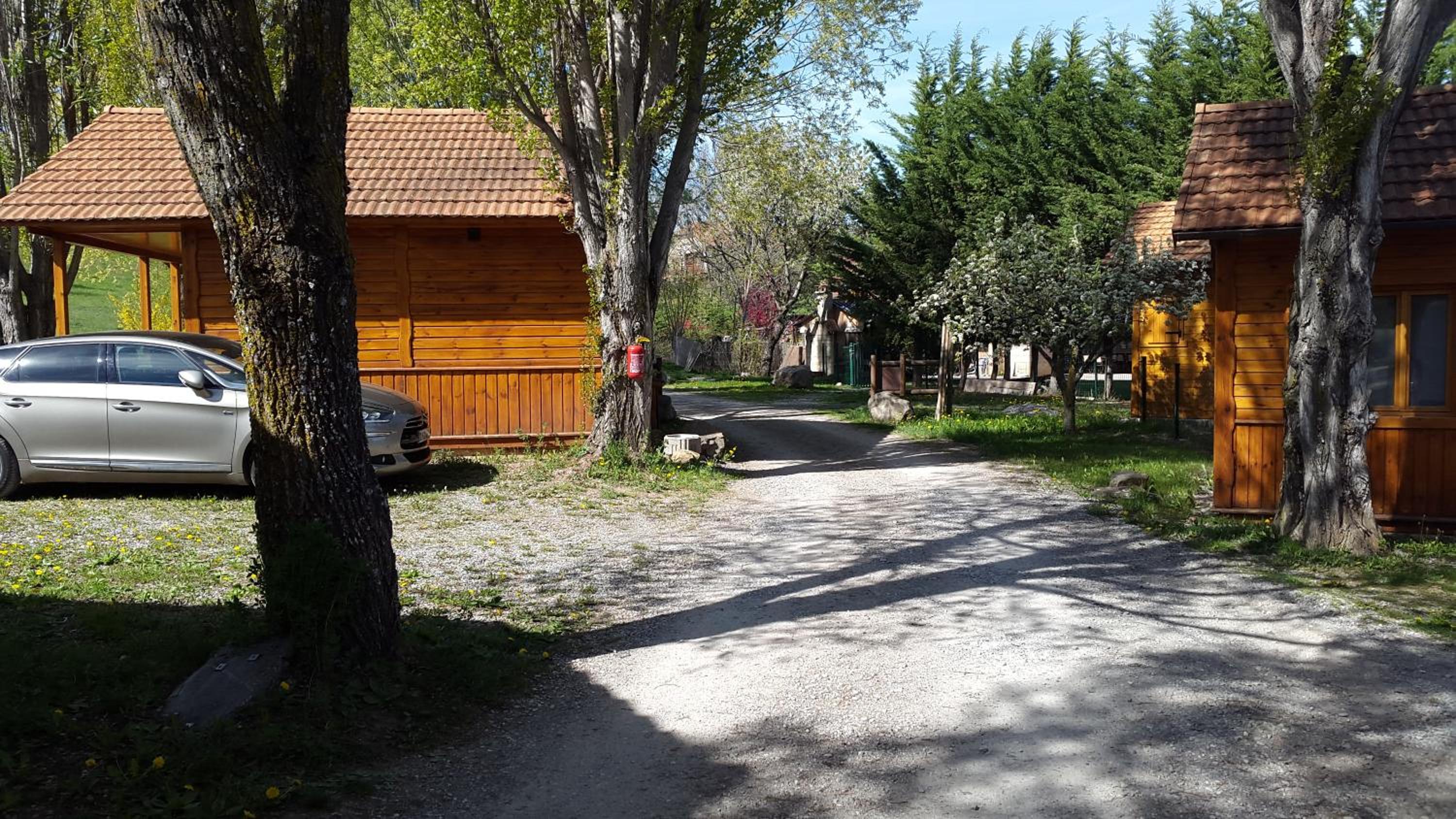 Photo 24