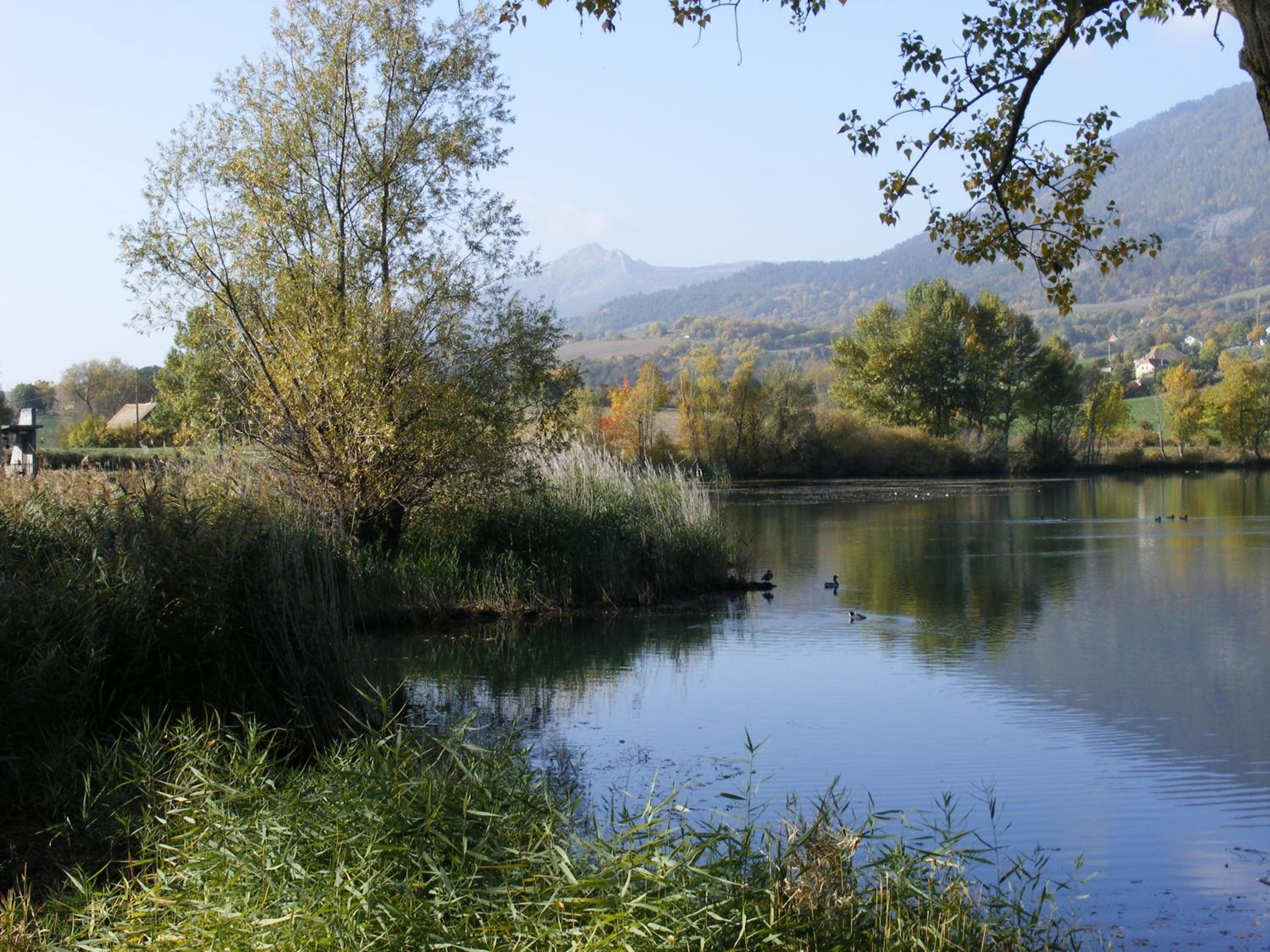 Photo 49