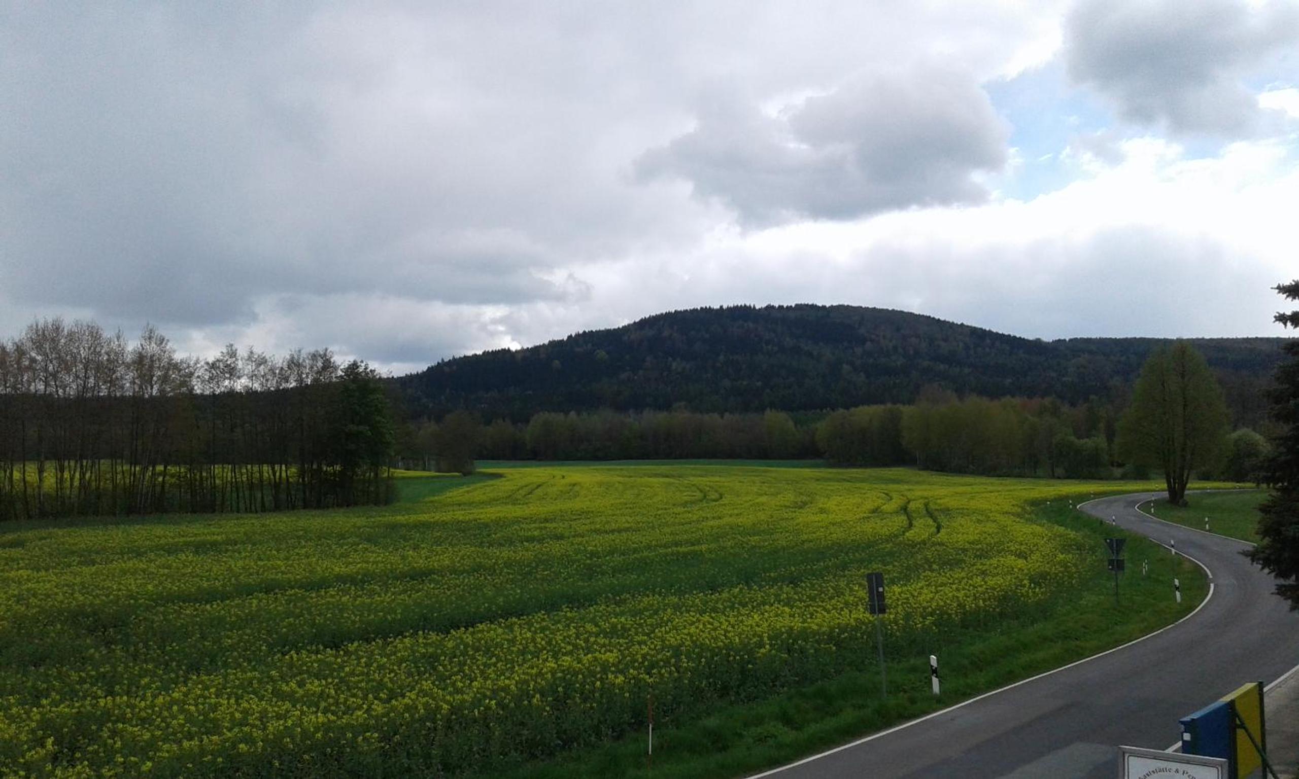 Gaststätte & Pension Jägerwäldchen