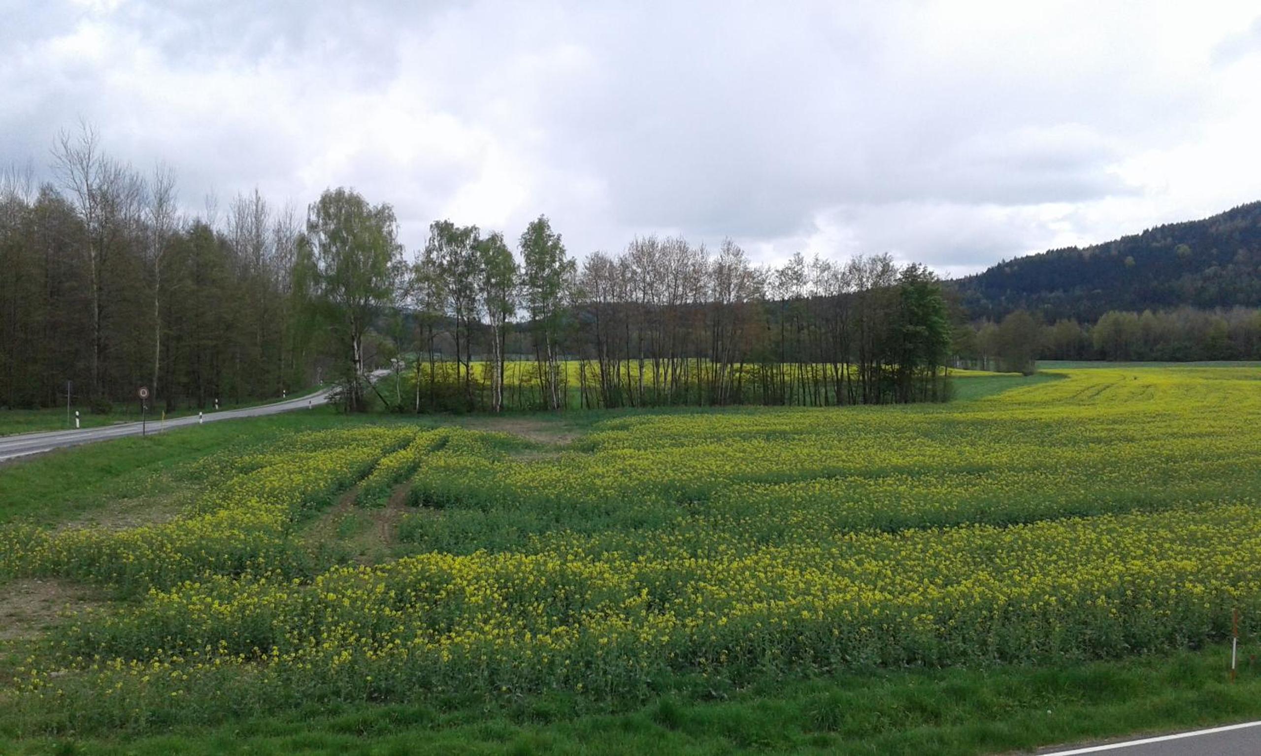 Gaststätte & Pension Jägerwäldchen