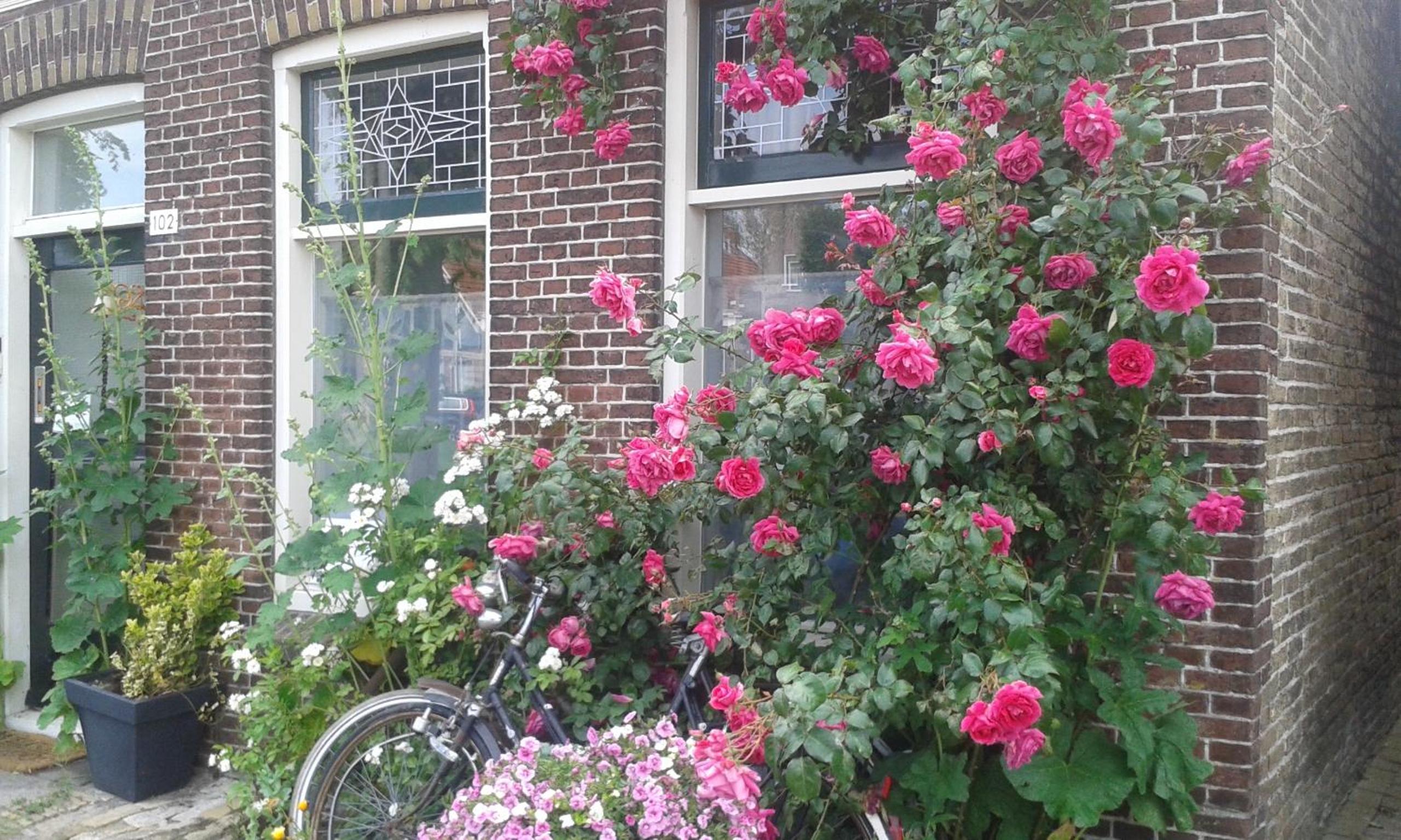 Photo 42