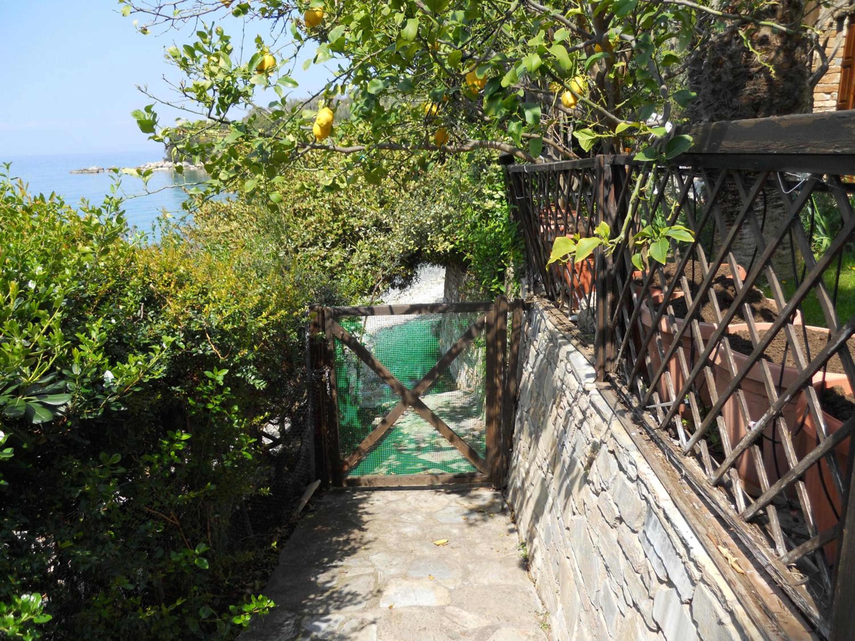 Villa Electra photo 5