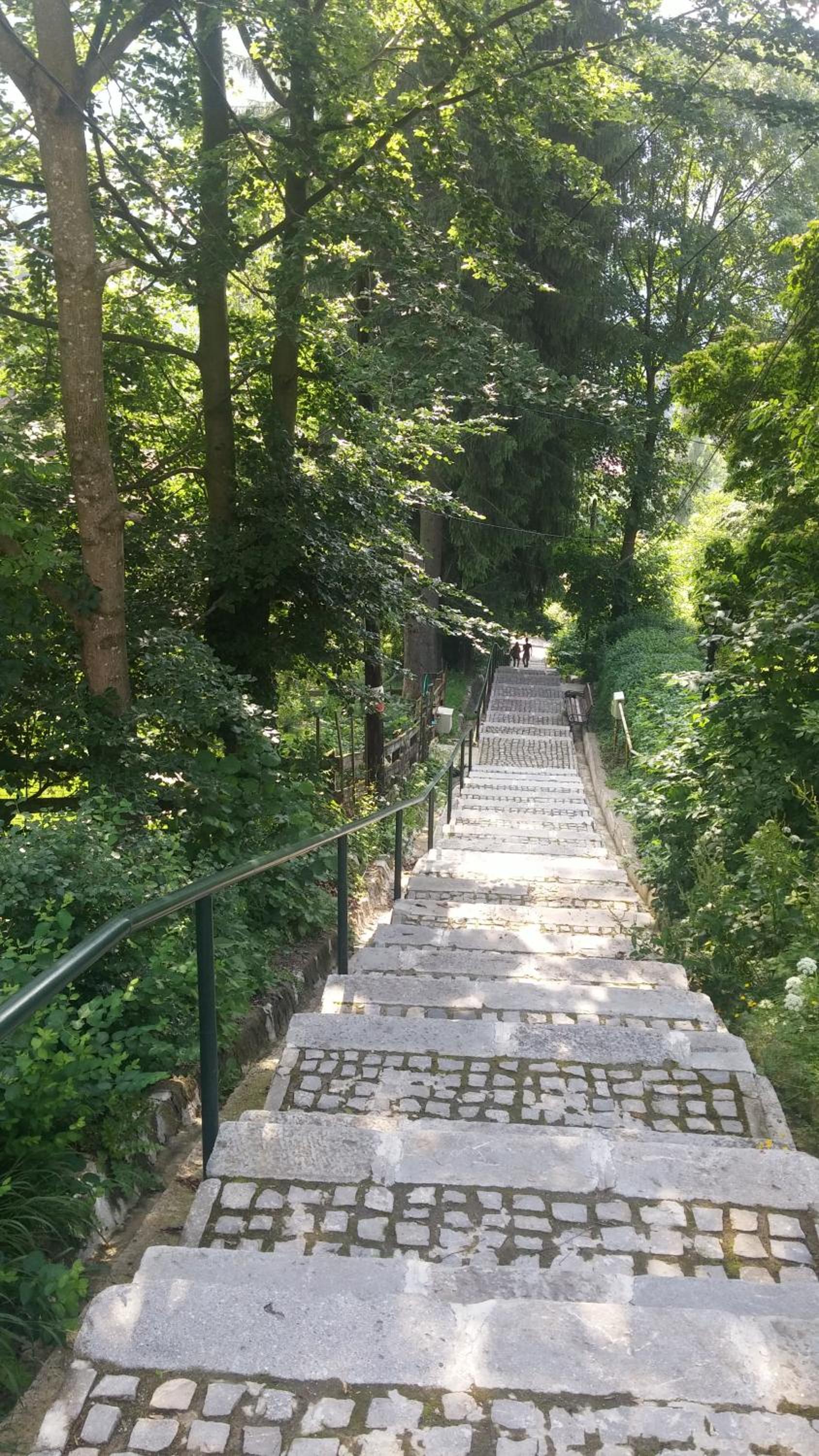 Photo 36