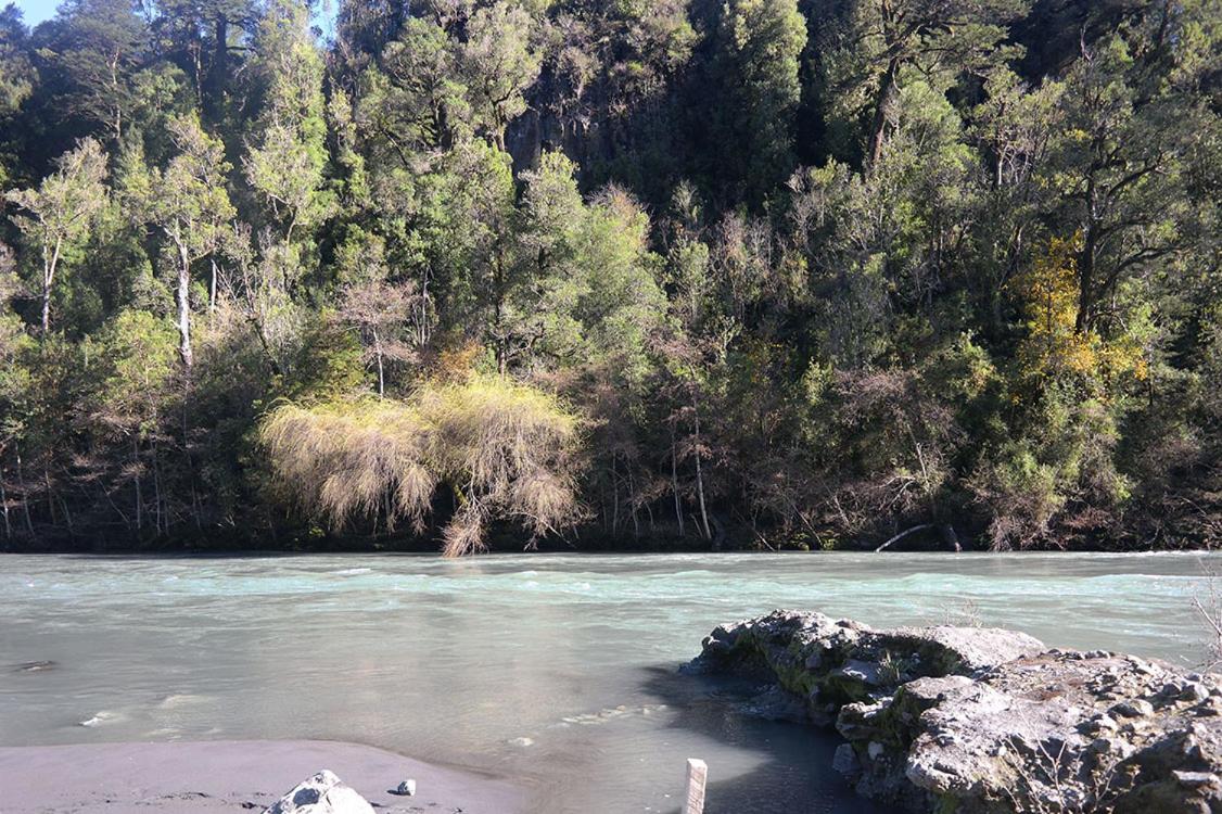 Ralun Patagonia