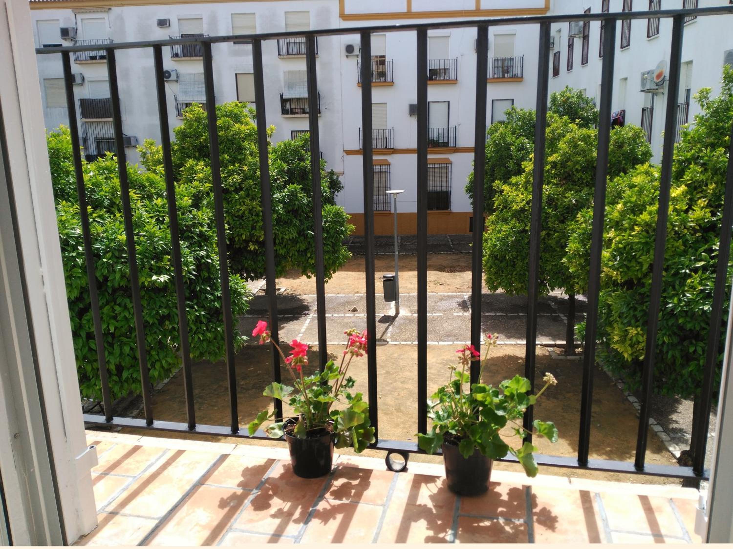 Apartamento Plaza Compañia Jerez view 5