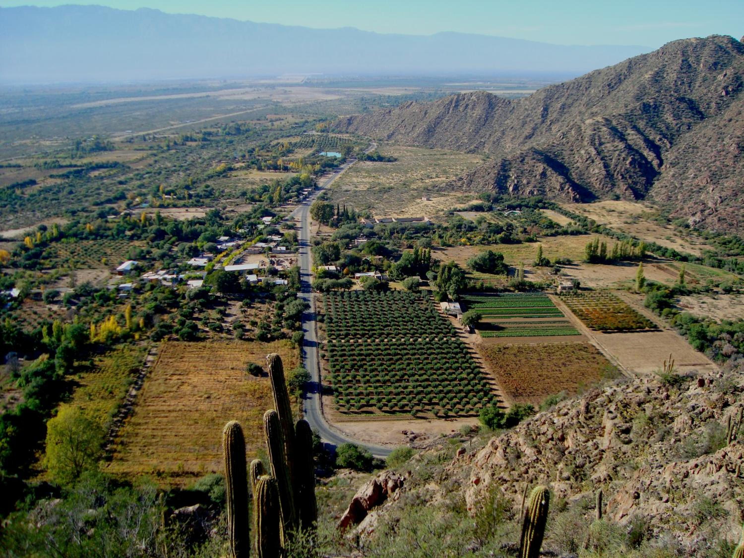 Cabañas Valle San Miguel