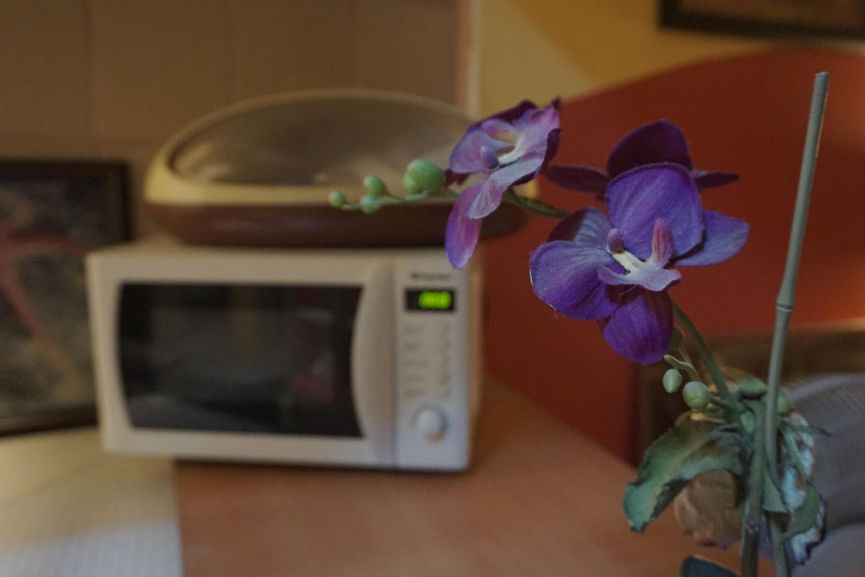 Chillout Lya Yurt & Lounge - Image 35