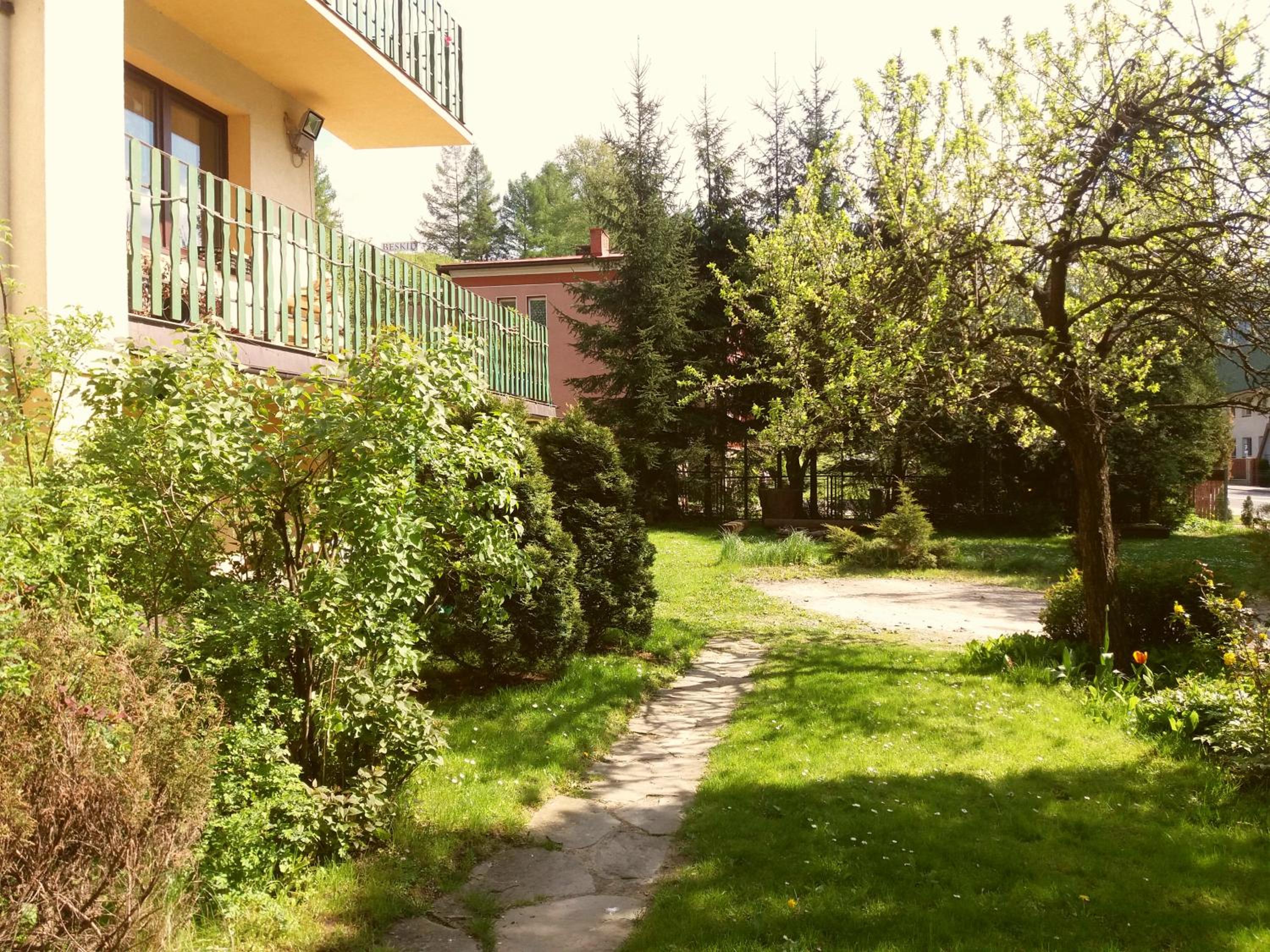 Photo 45