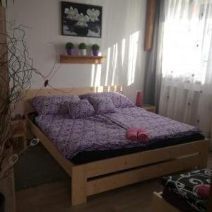 Apartmany Kras