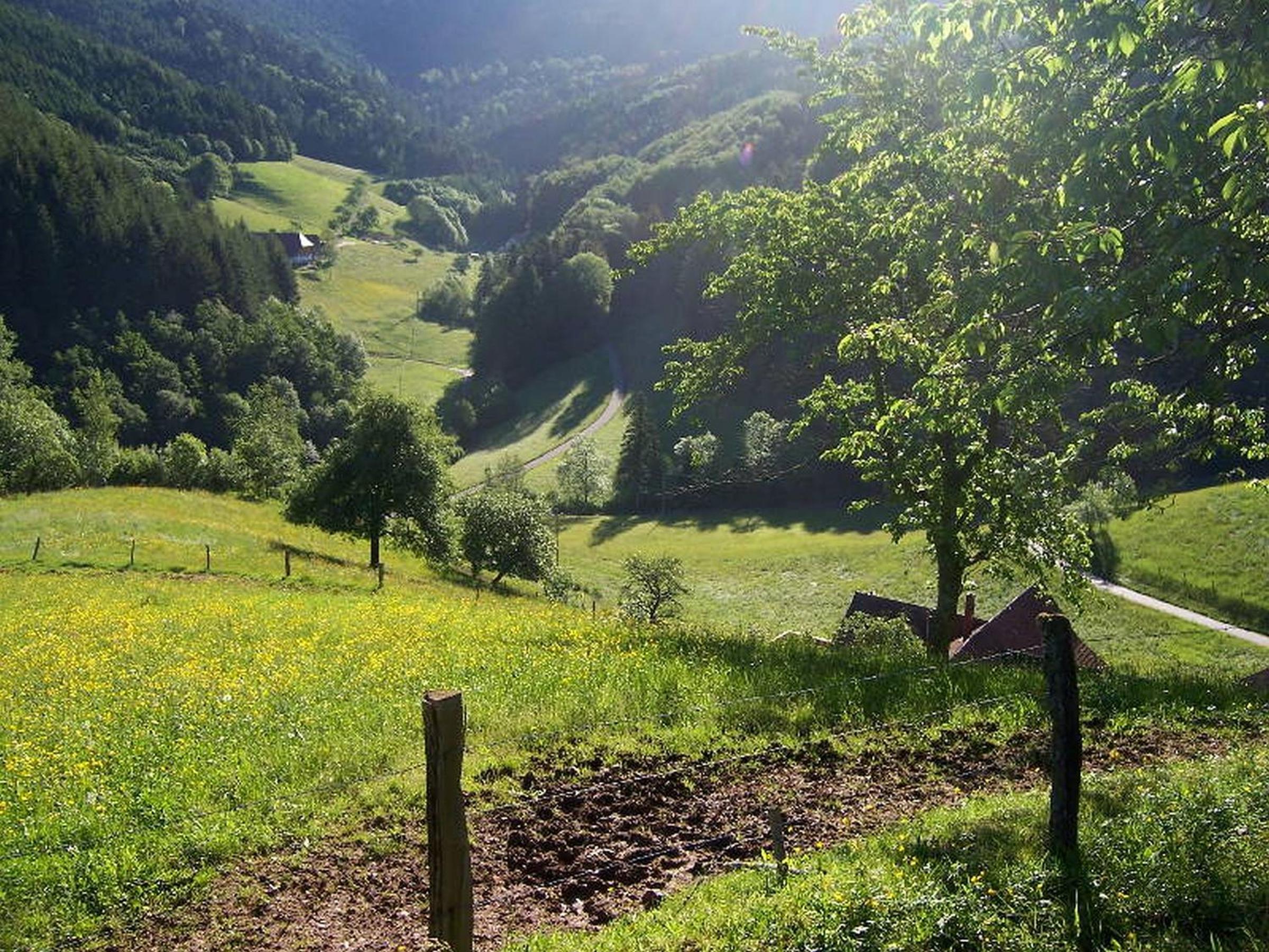 Stinneshof