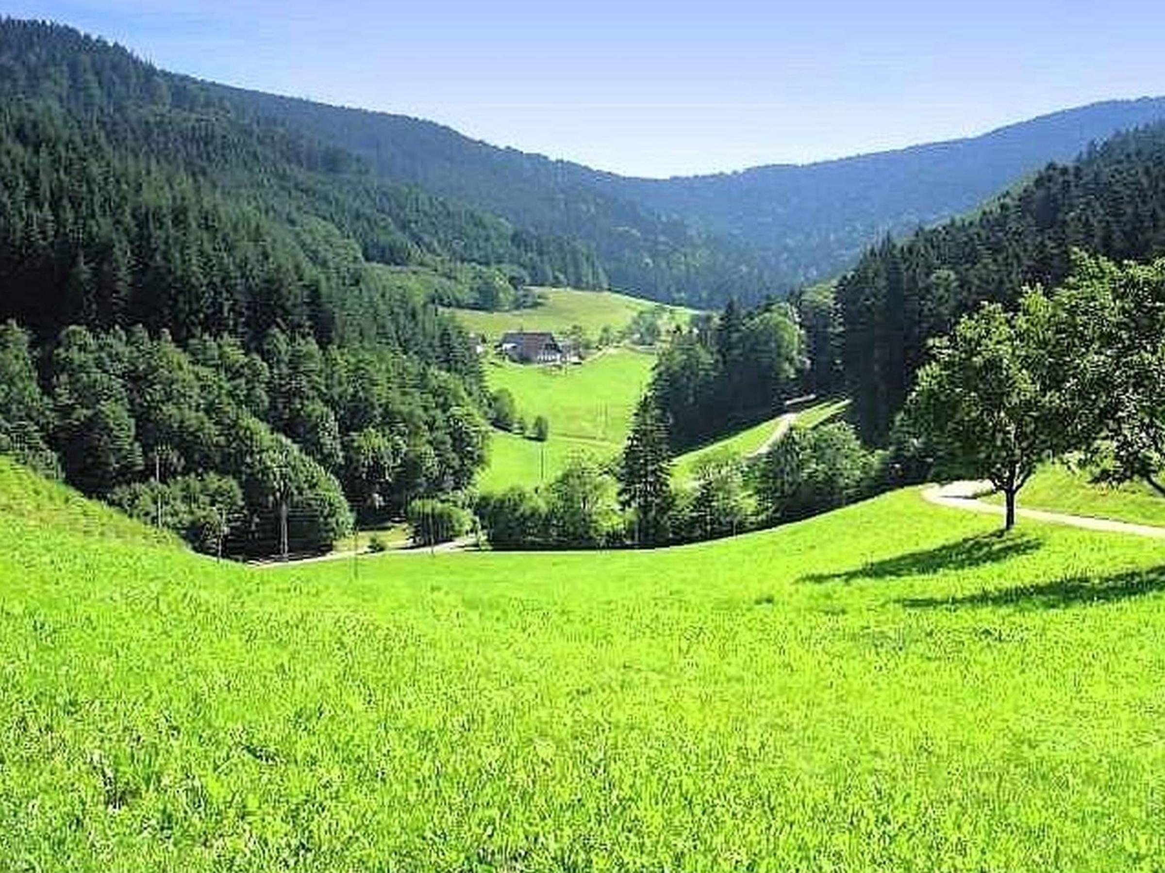 Stinneshof